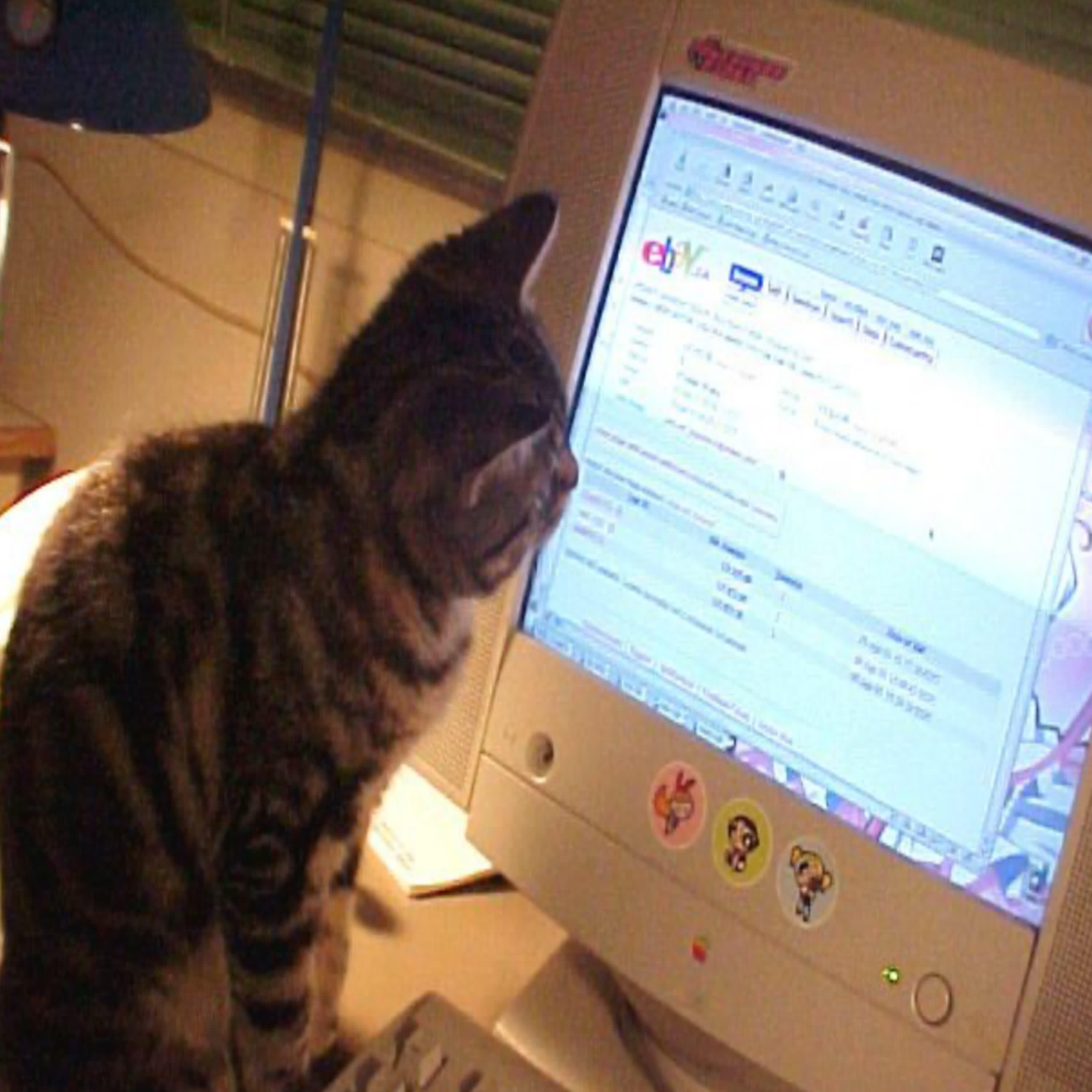 Релиз i h8 love and the internet