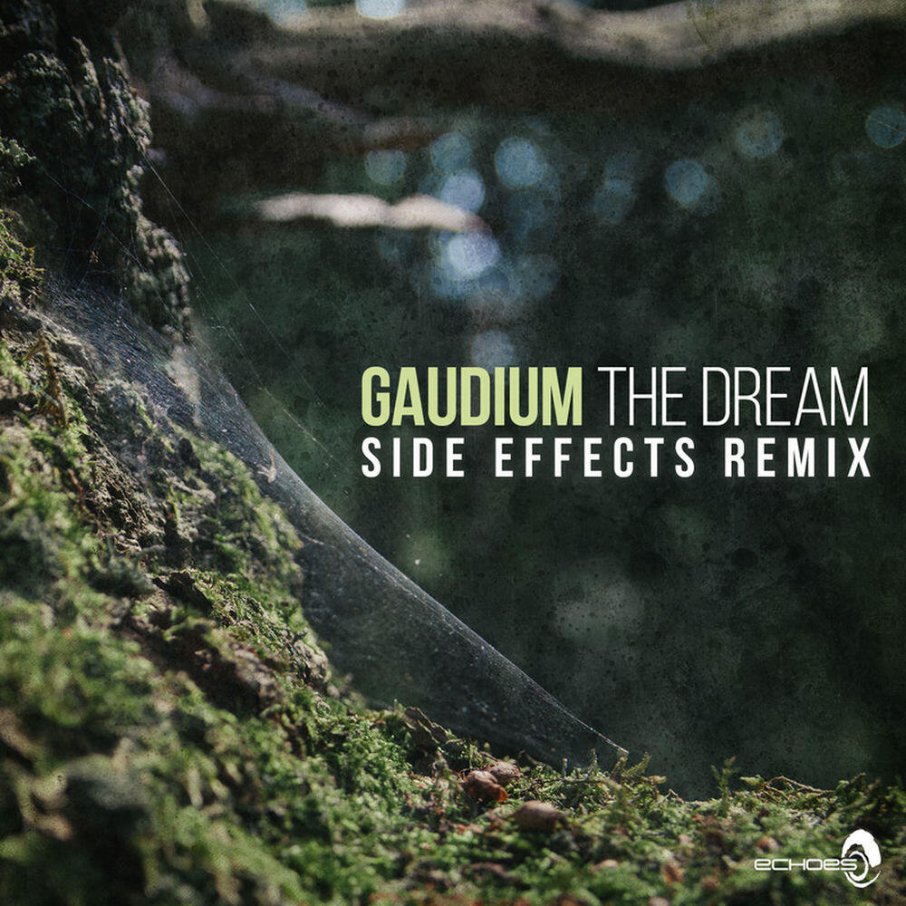Релиз The Dream (Side Effects Remix)
