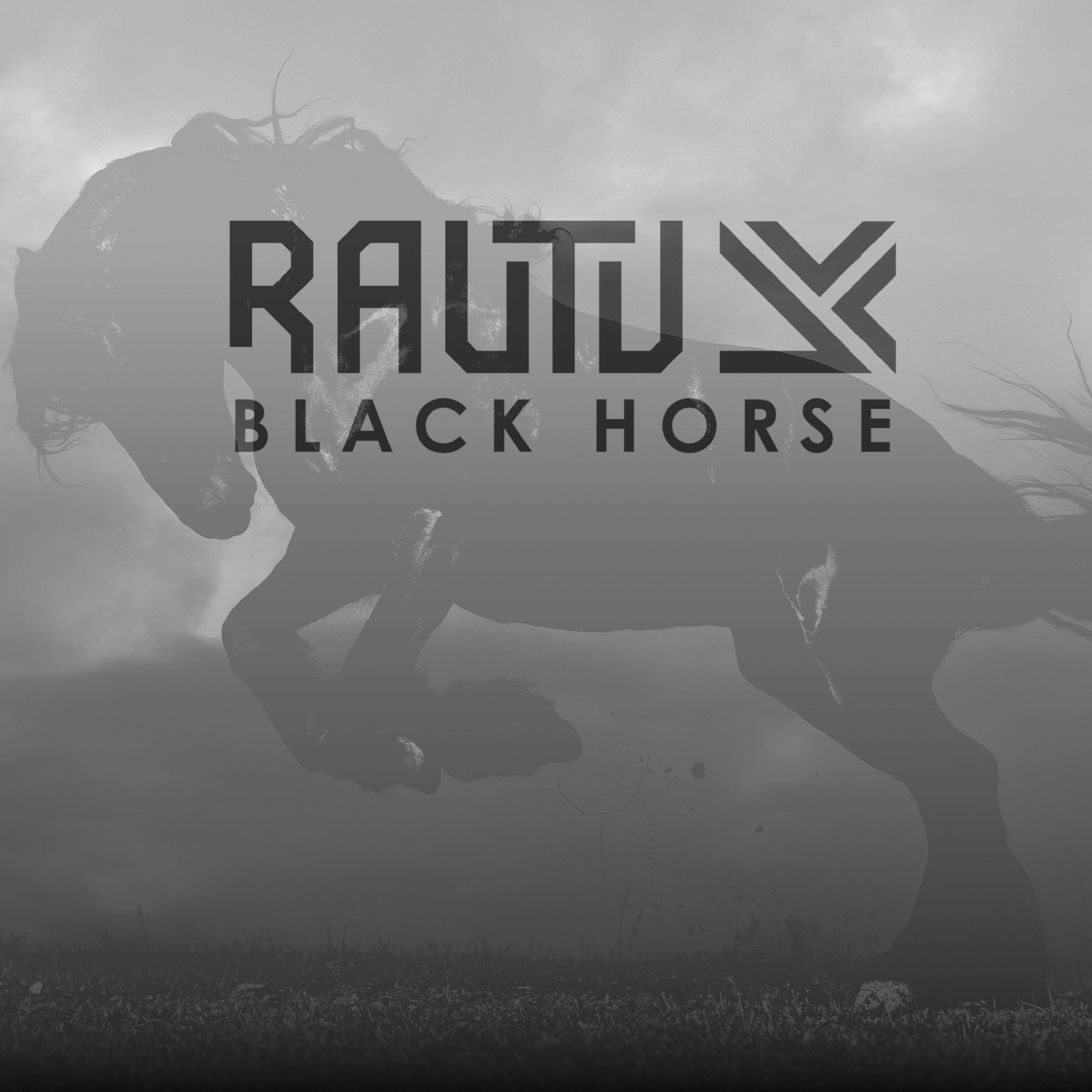 Релиз BLACK HORSE