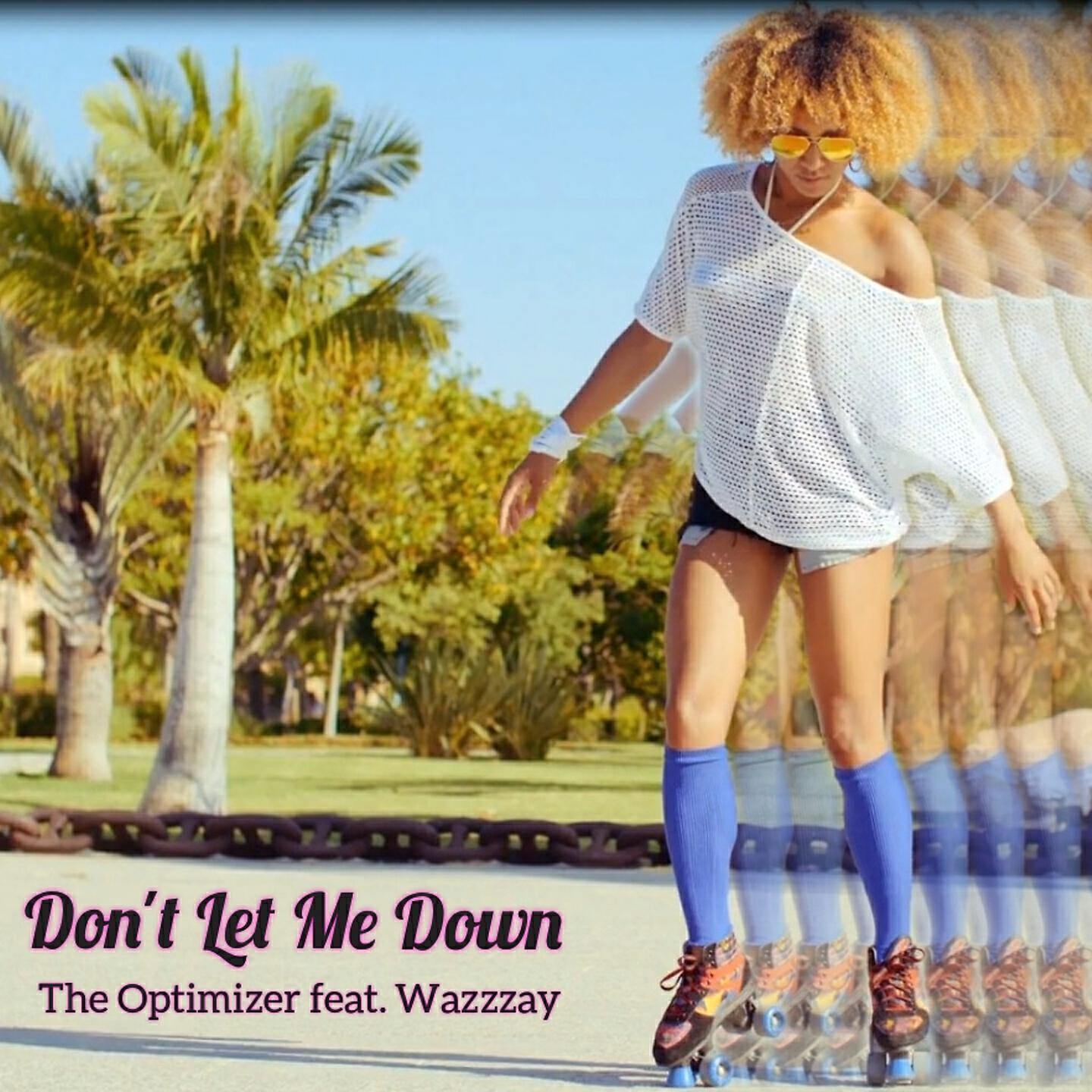 Optimizer