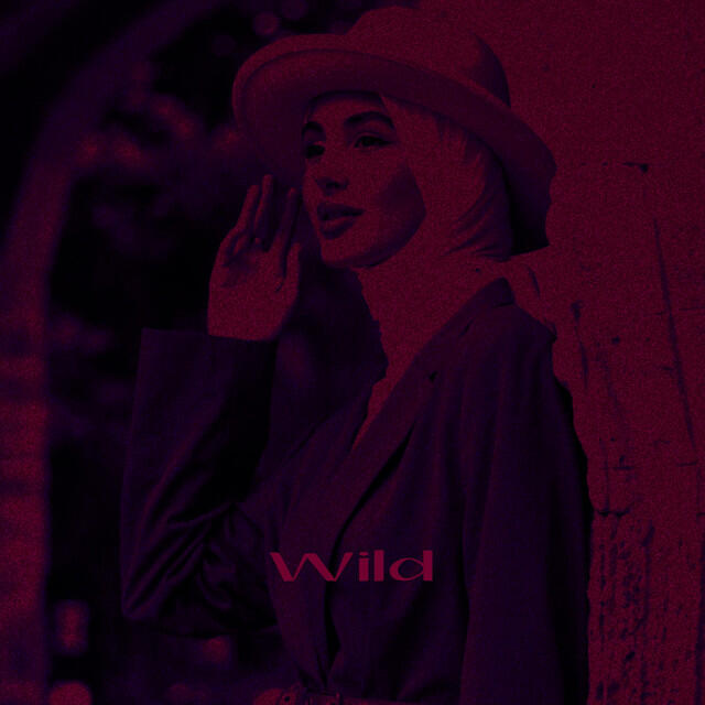 Релиз Wild