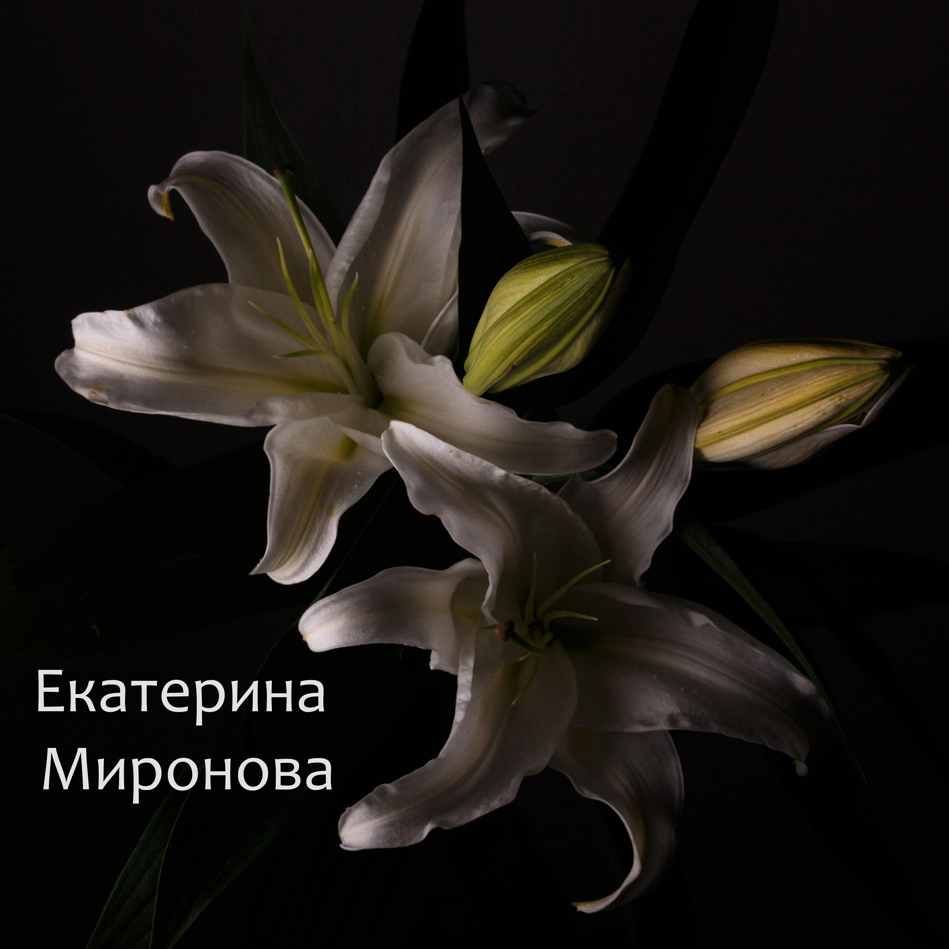Релиз Мне так нужны твои объятья
