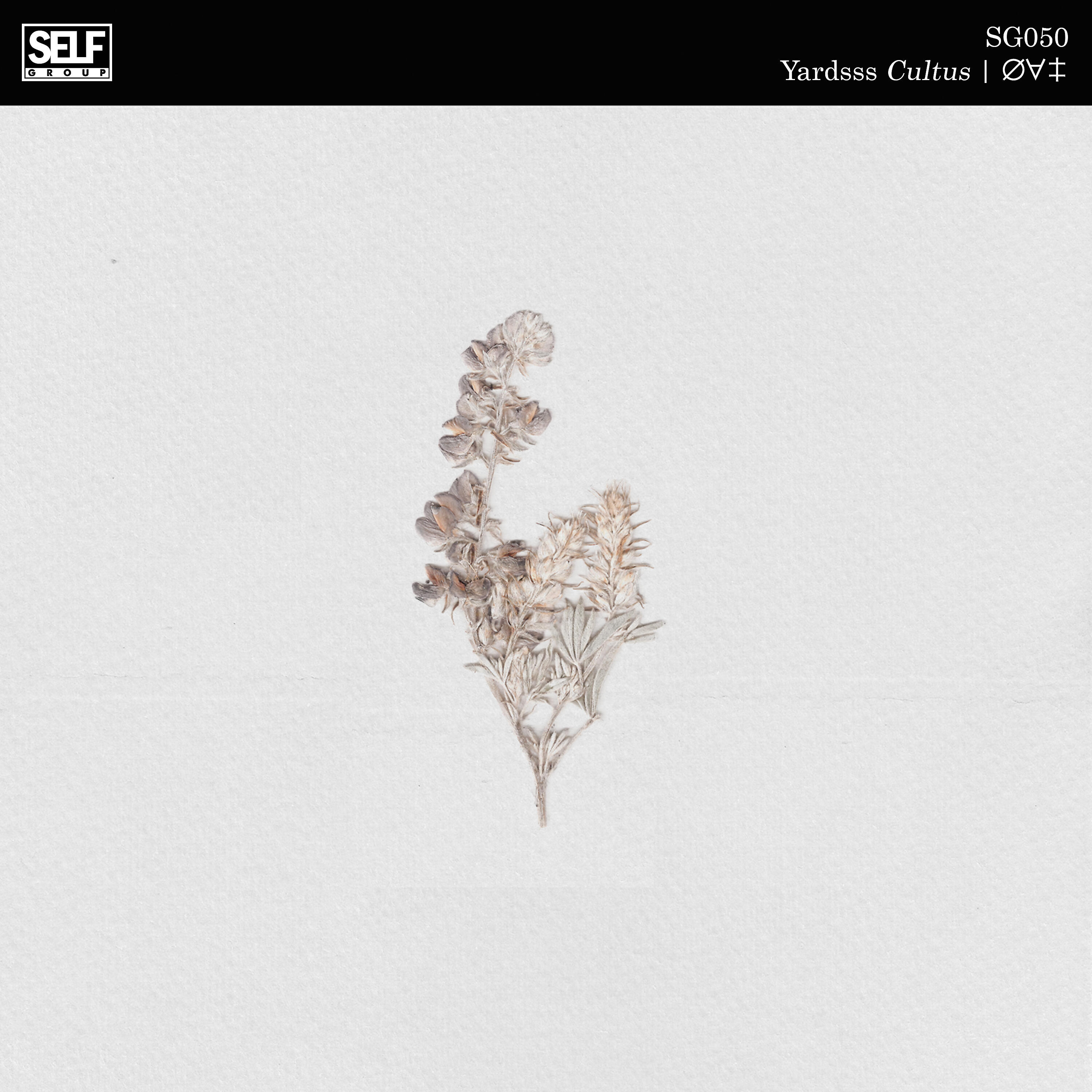 Релиз Cultus