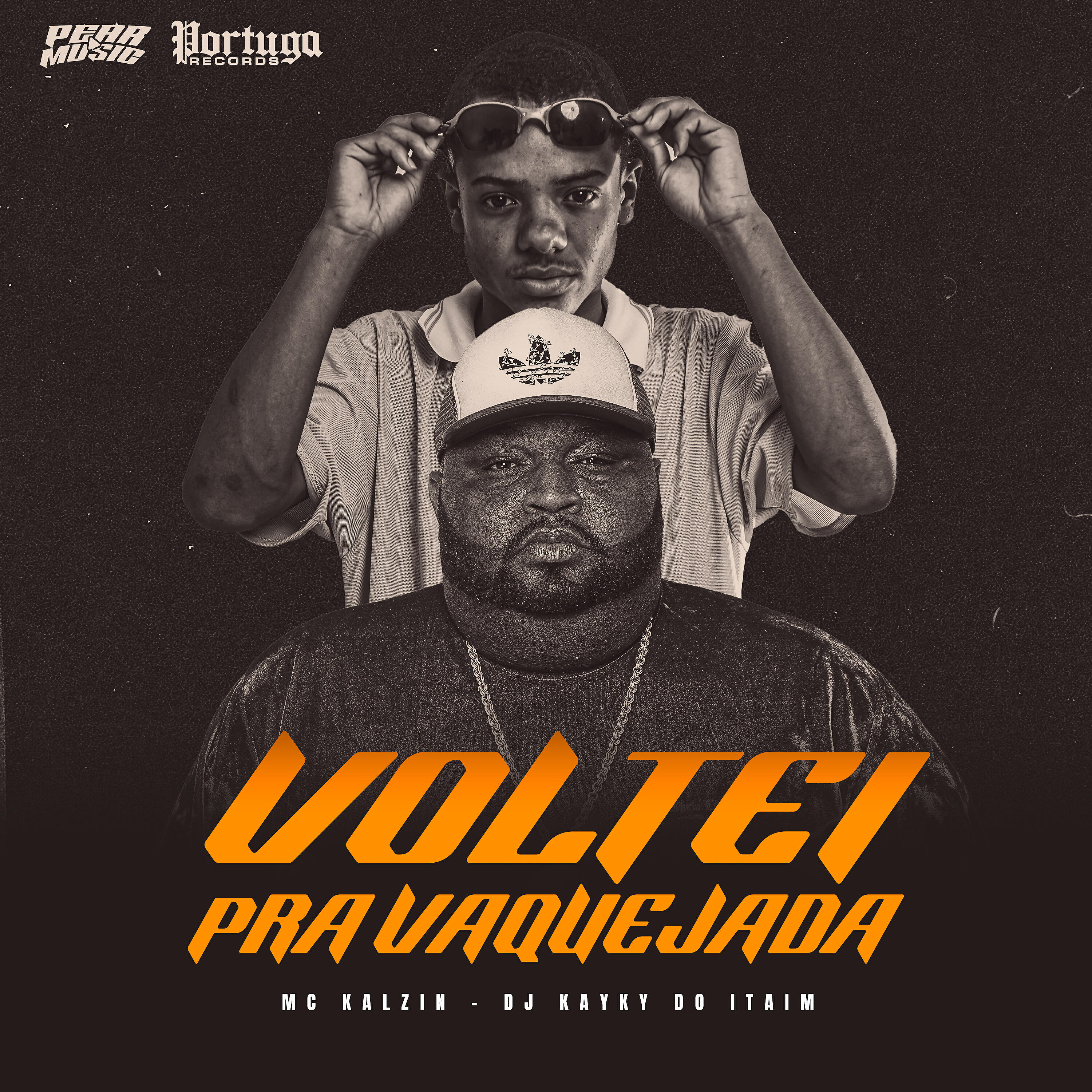 Скачать песню Mc Kalzin, DJ KAYKY DO ITAIM - Voltei pra Vaquejada бесплатно в MP3 для Android и iOS