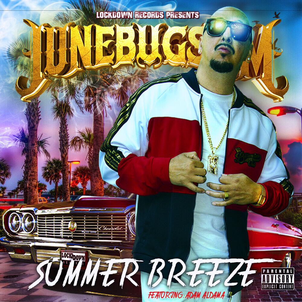 Релиз Summer Breeze