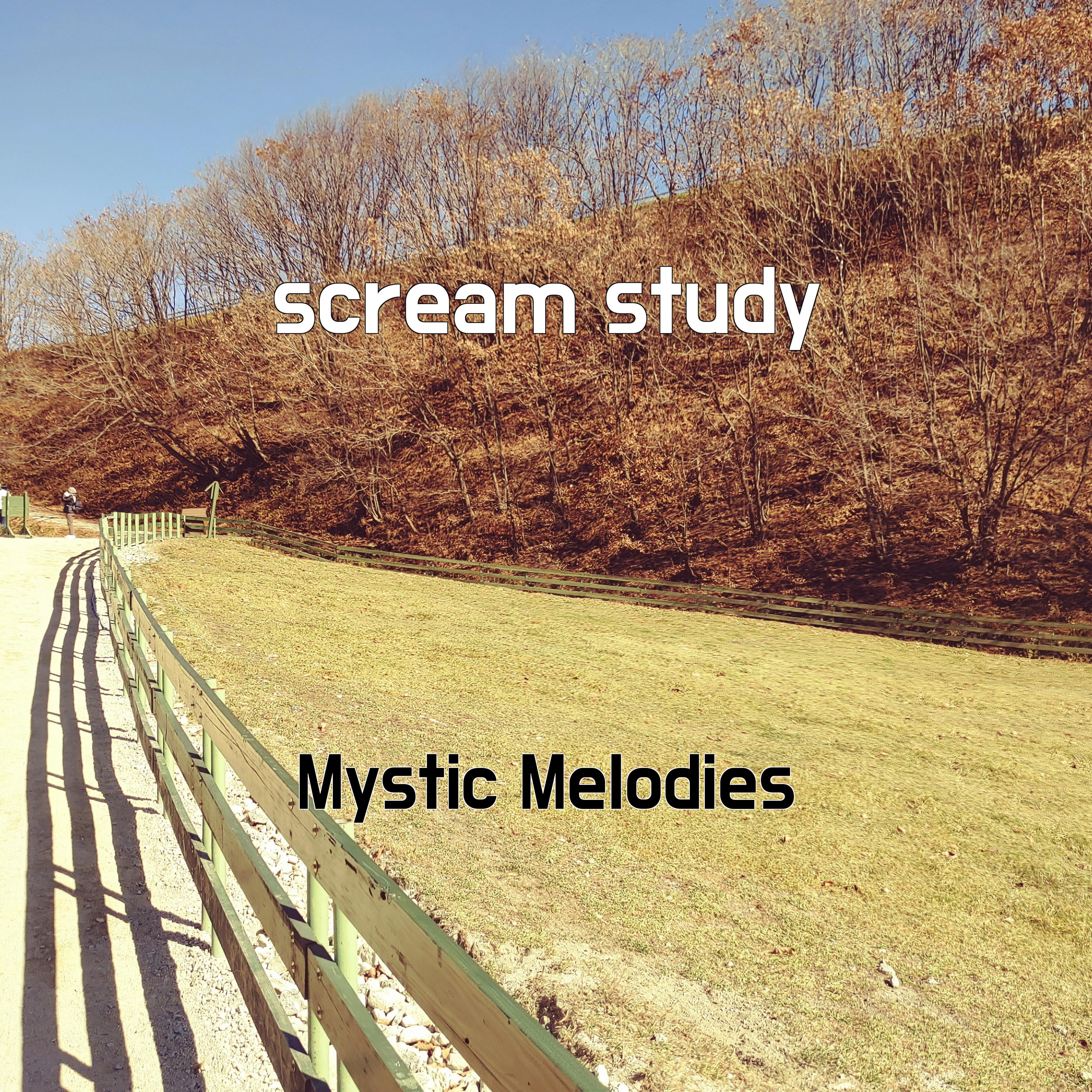Релиз scream study