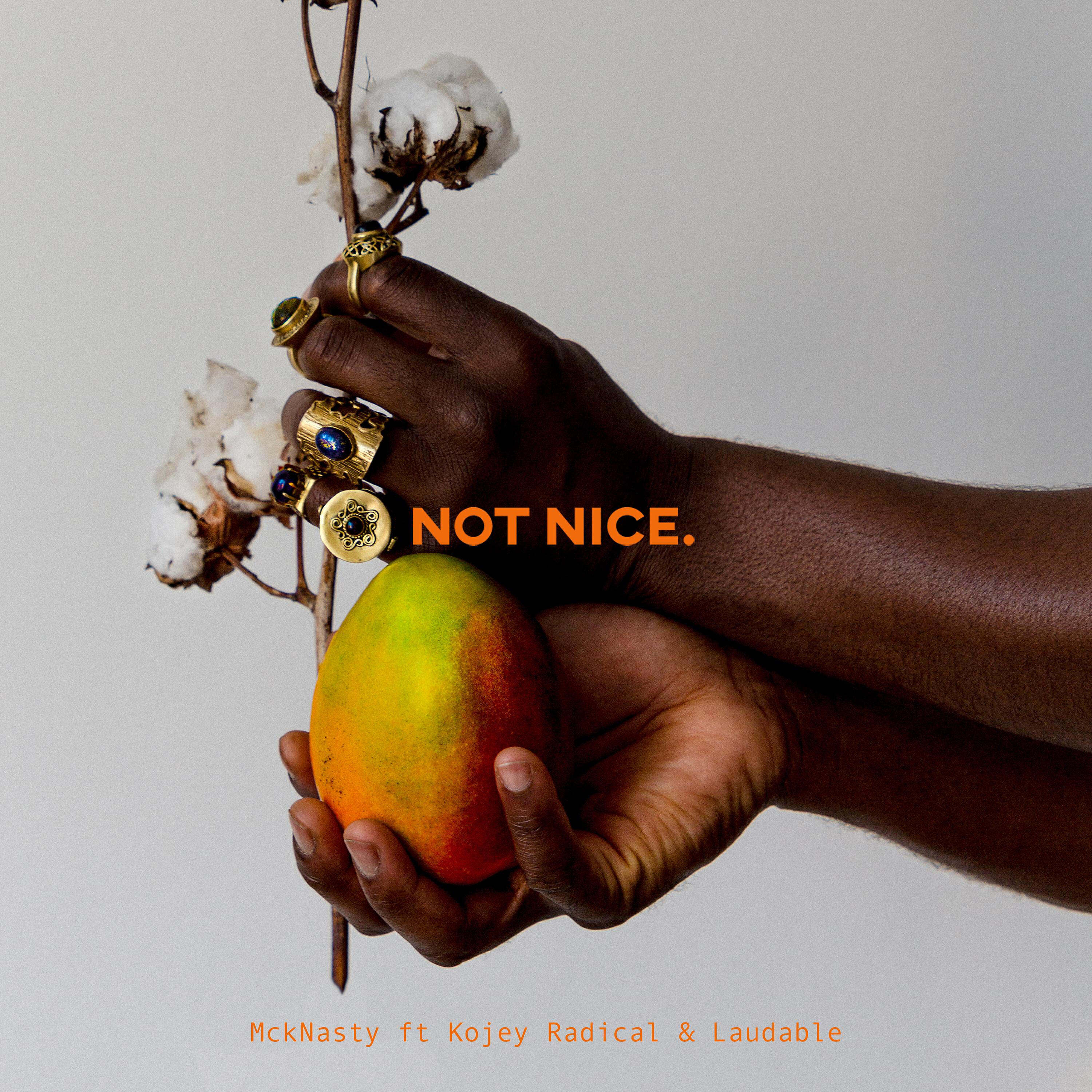 Релиз Not Nice