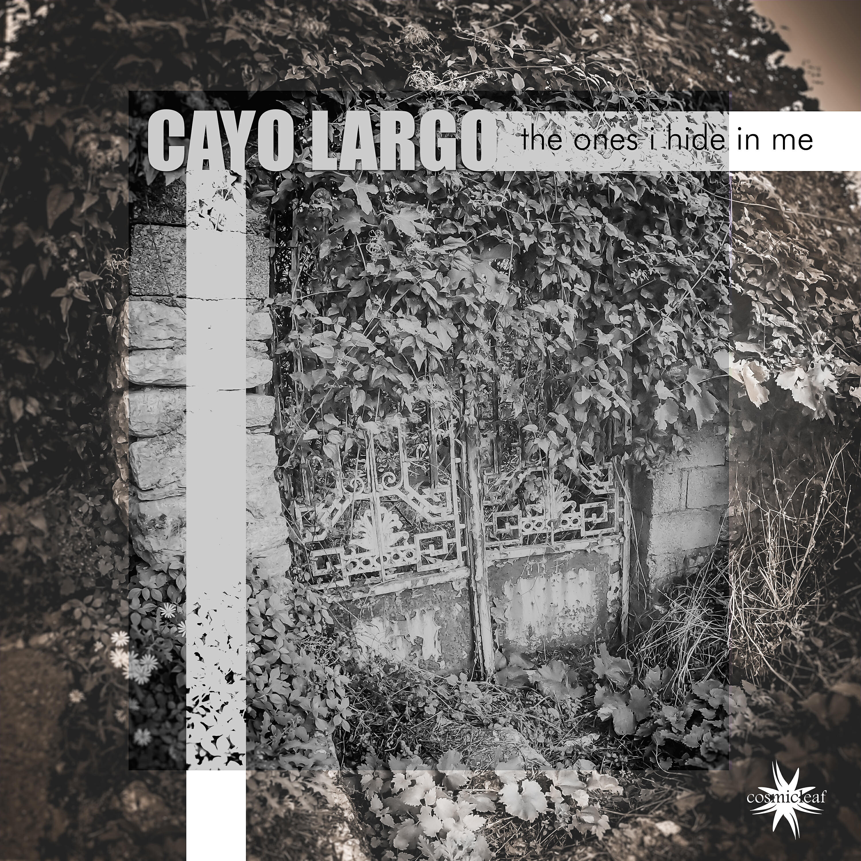 Релиз The Ones I Hide in Me