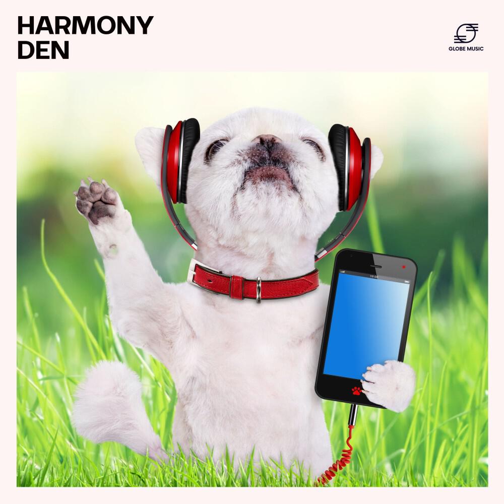 Dog Music Dreams