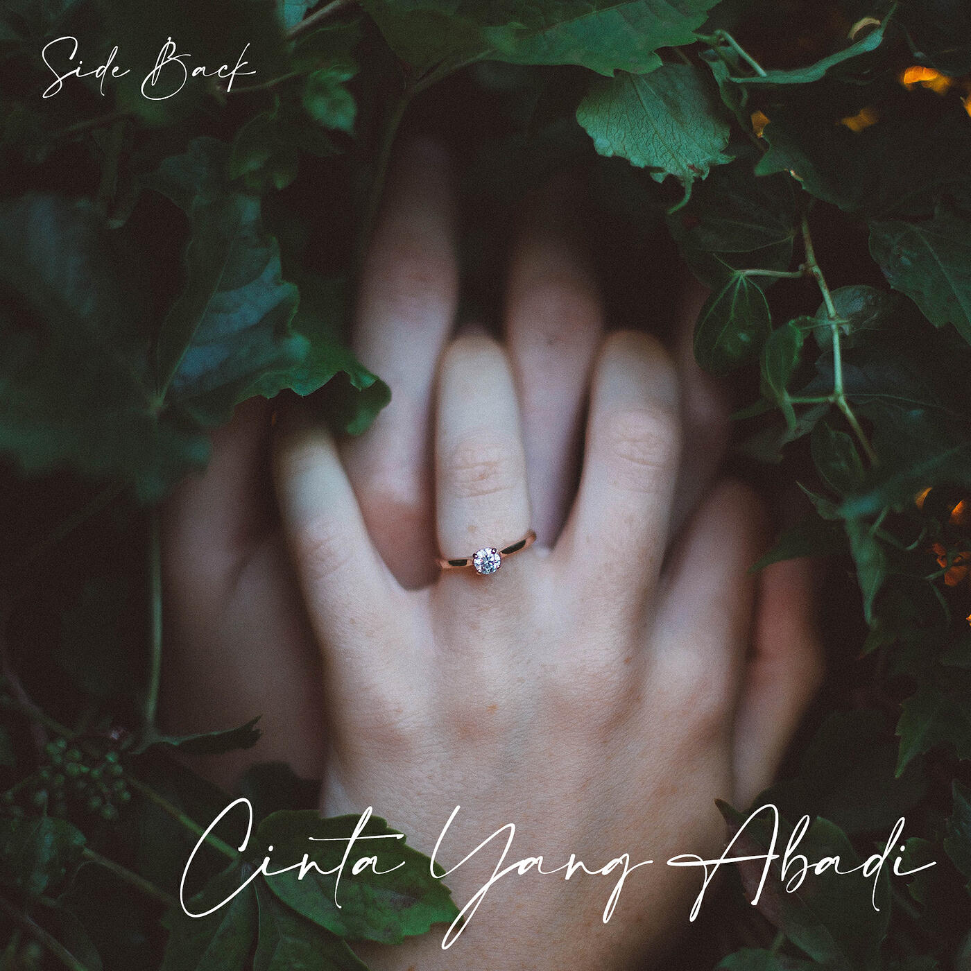 Релиз Cinta Yang Abadi