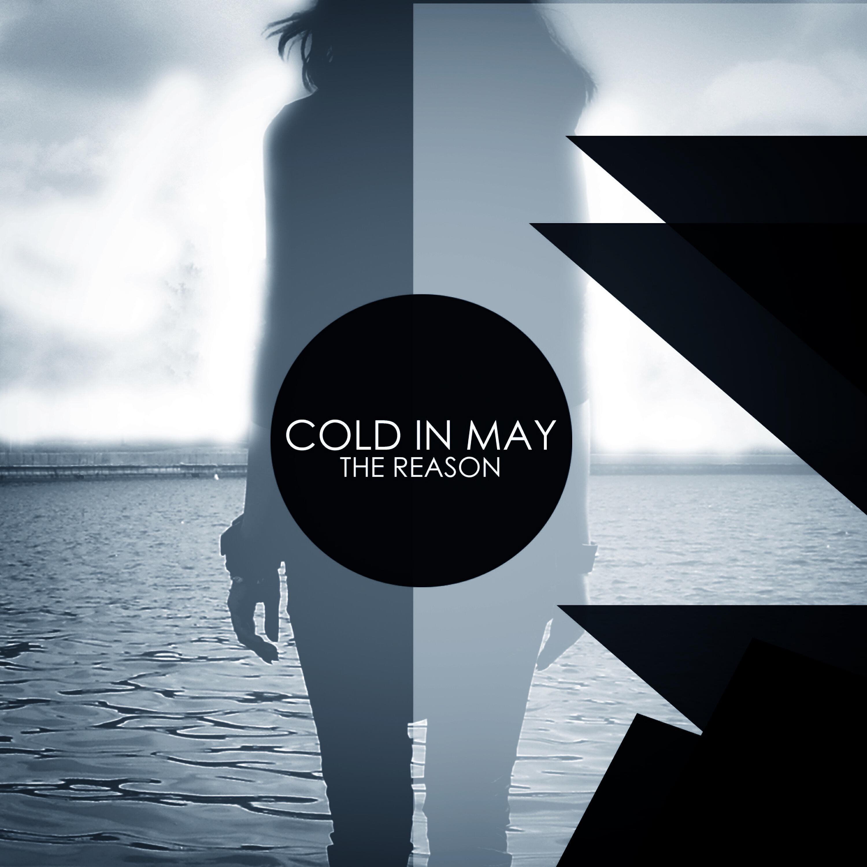 Релиз The Reason