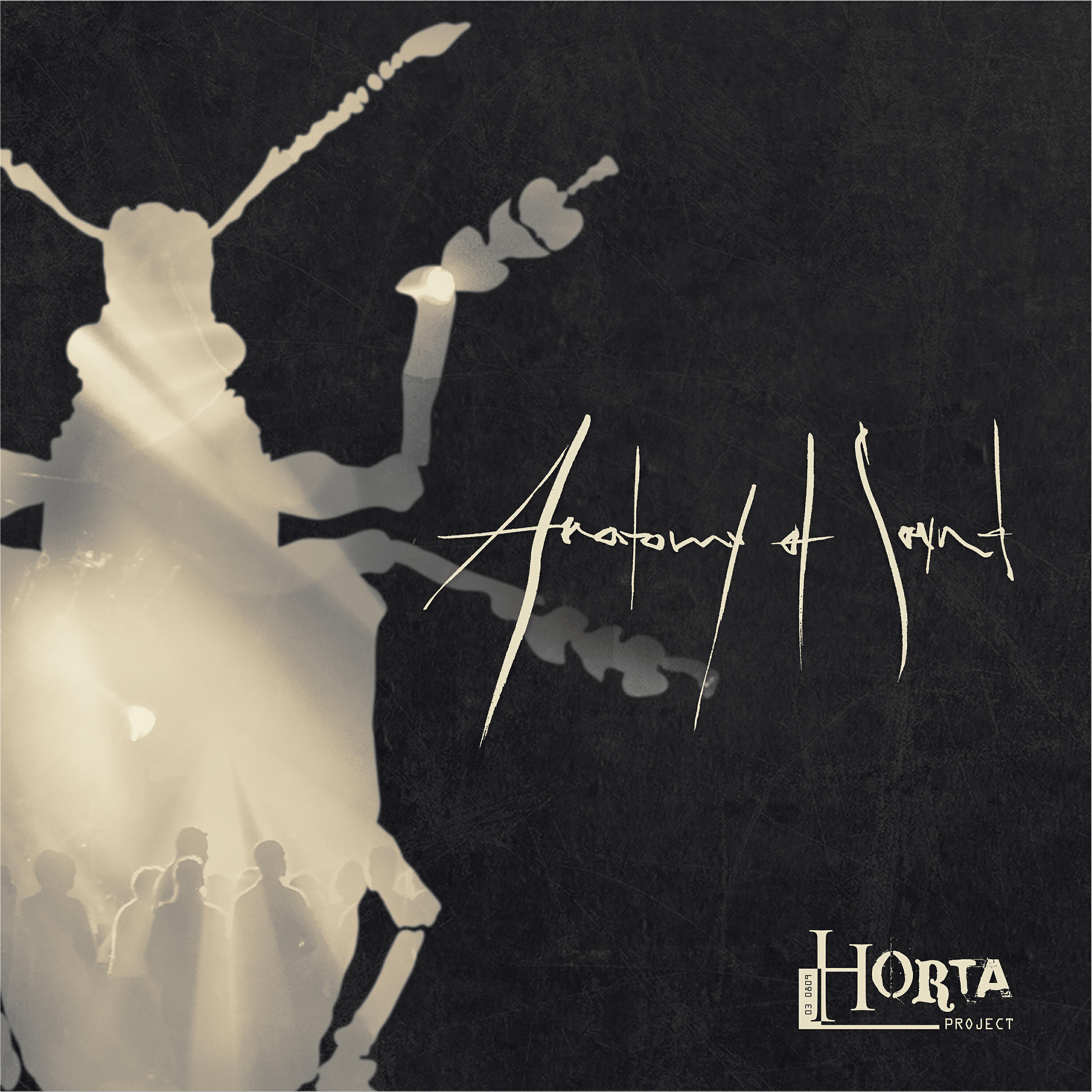 Релиз Anatomy of Sound
