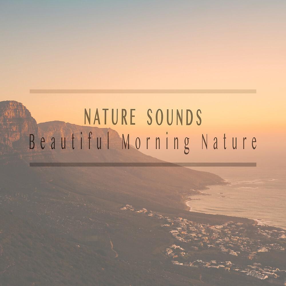 Релиз Beautiful Morning Nature