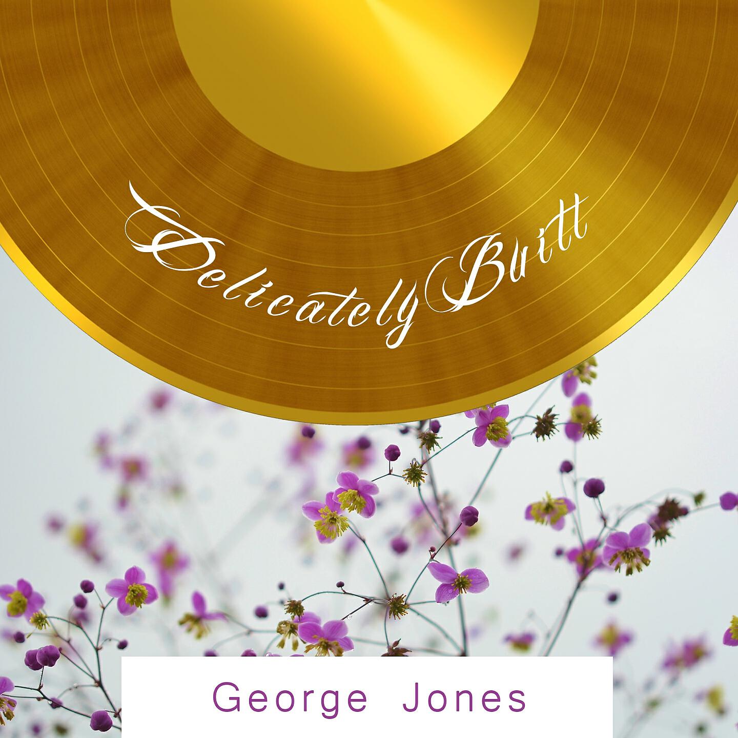Релиз Delicately Built