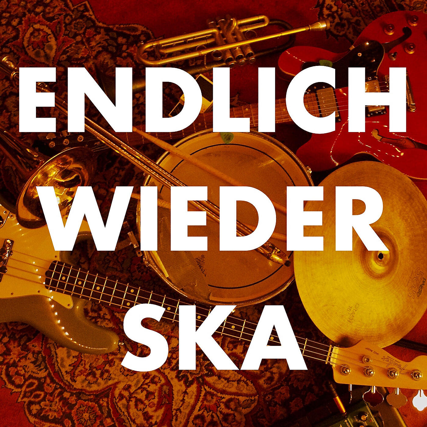 Релиз Endlich Wieder Ska