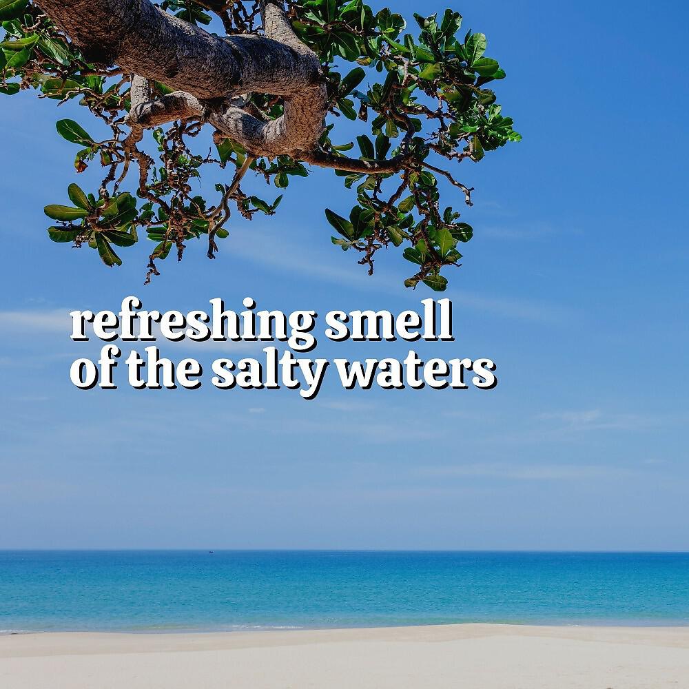 Постер альбома Refreshing Smell of the Salty Waters
