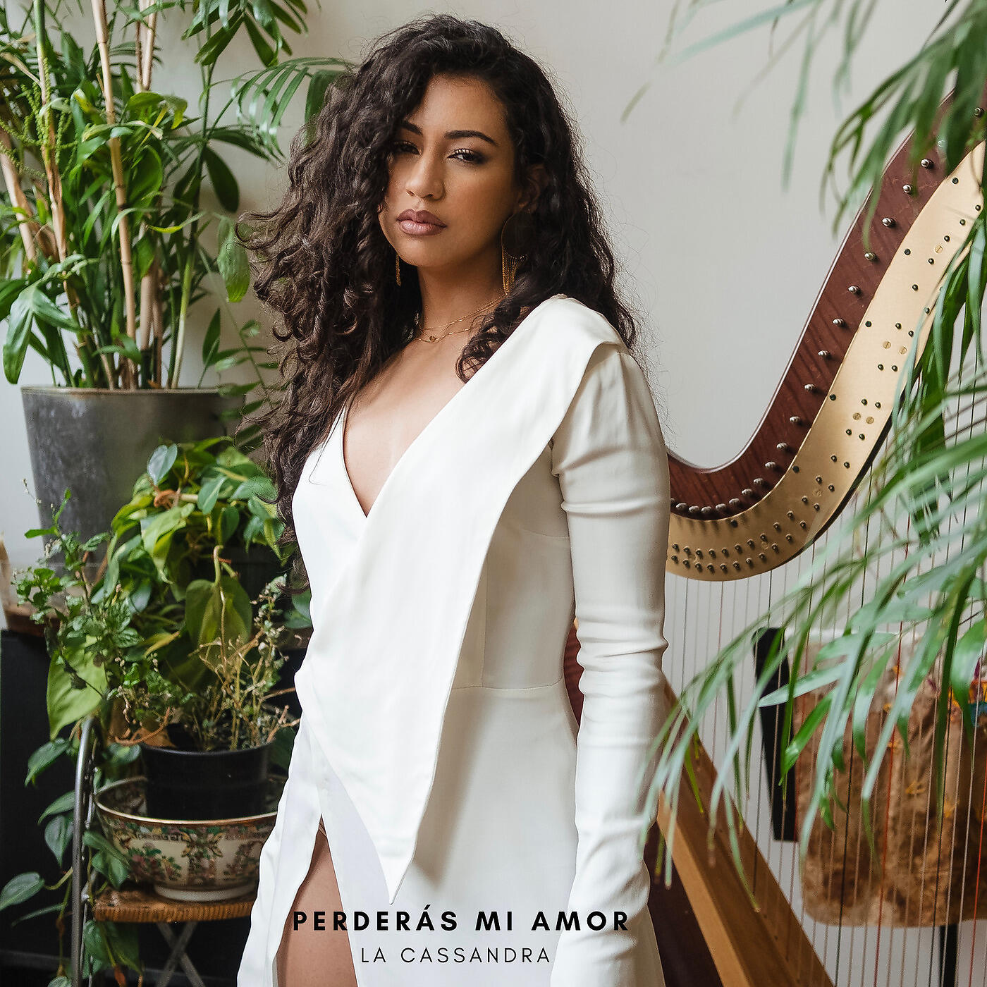 Релиз Perderás Mi Amor