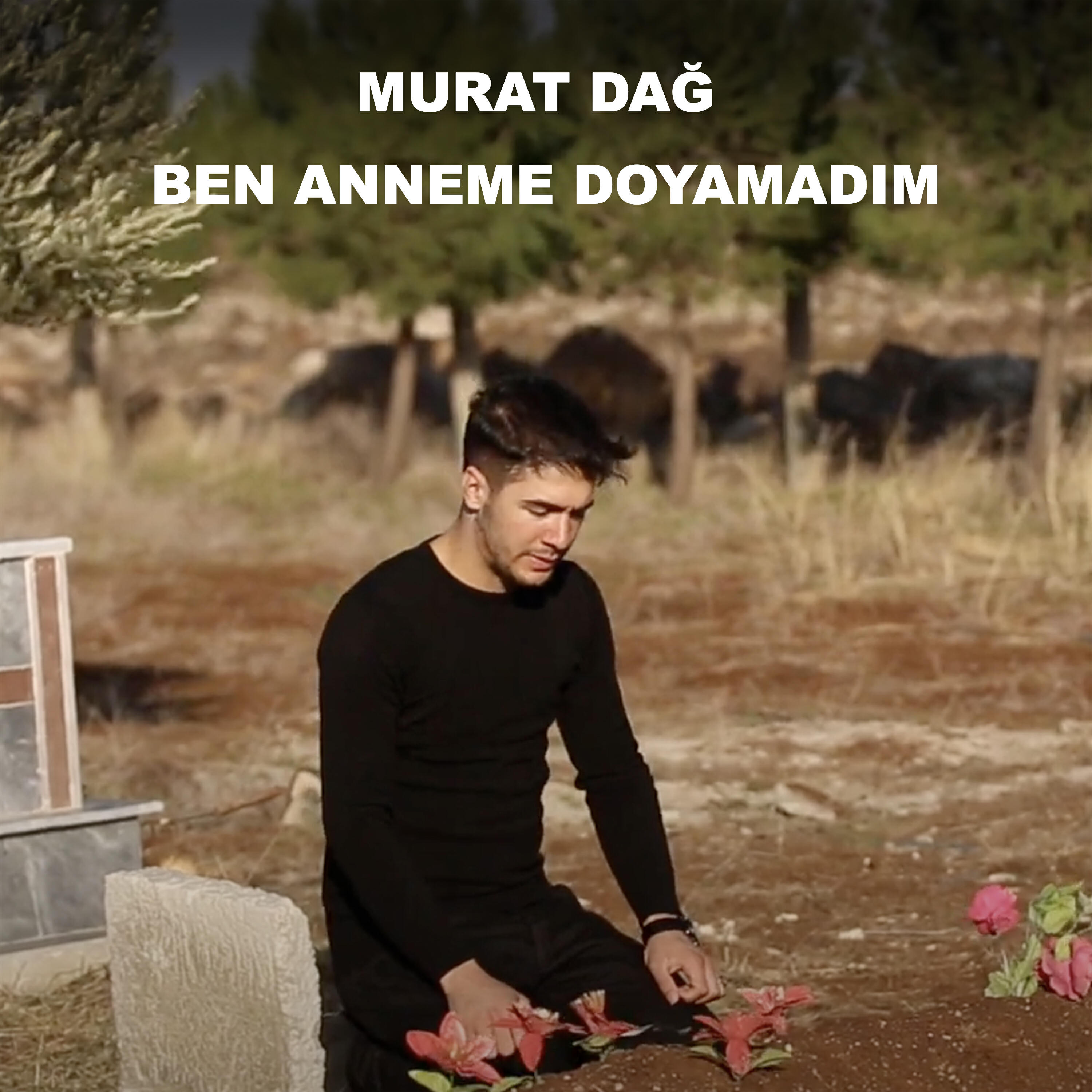 Релиз Ben Anneme Doyamadım