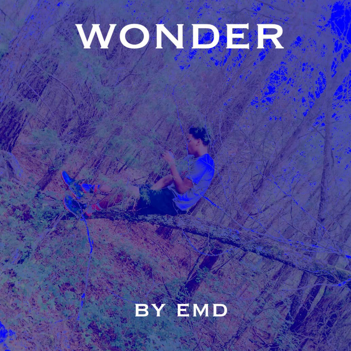 Альбом Wonder исполнителя emd