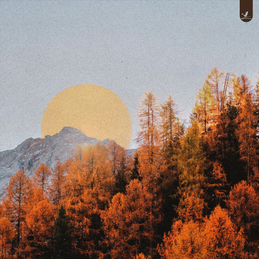 Волна по релизу