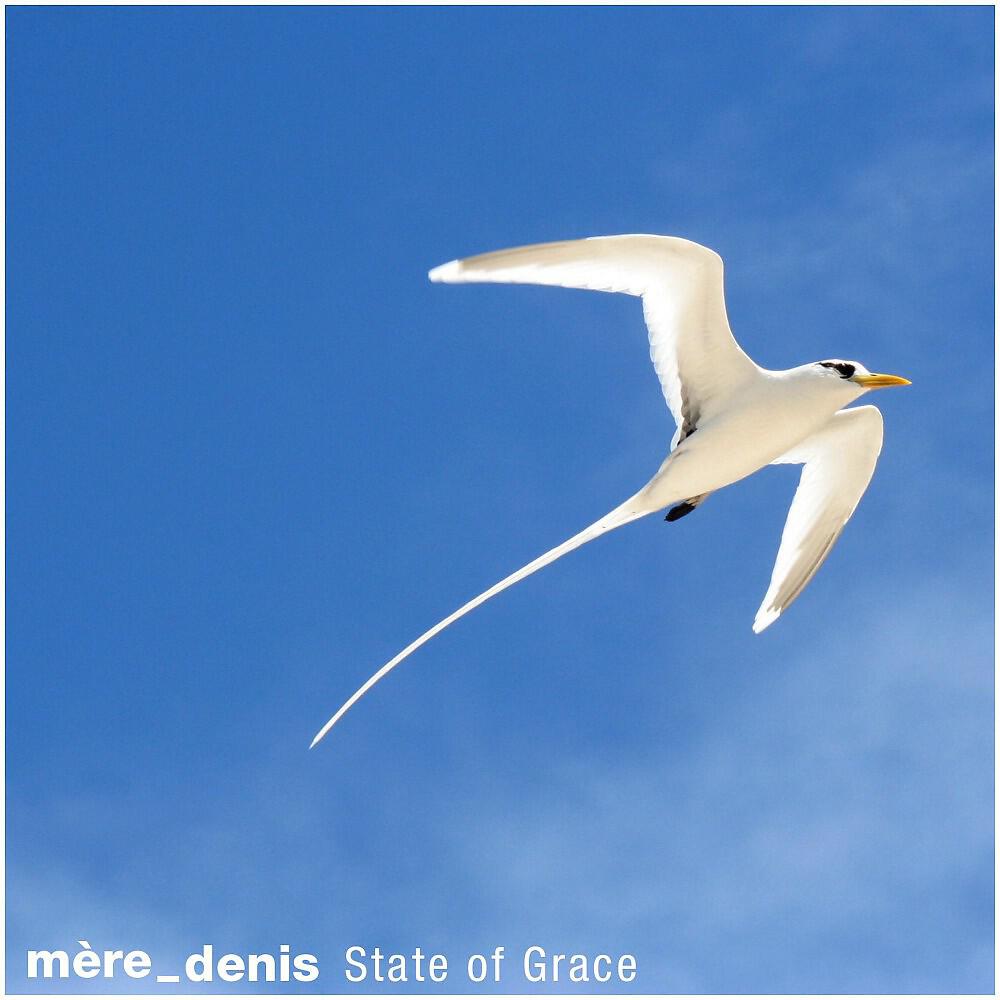 Релиз State of Grace