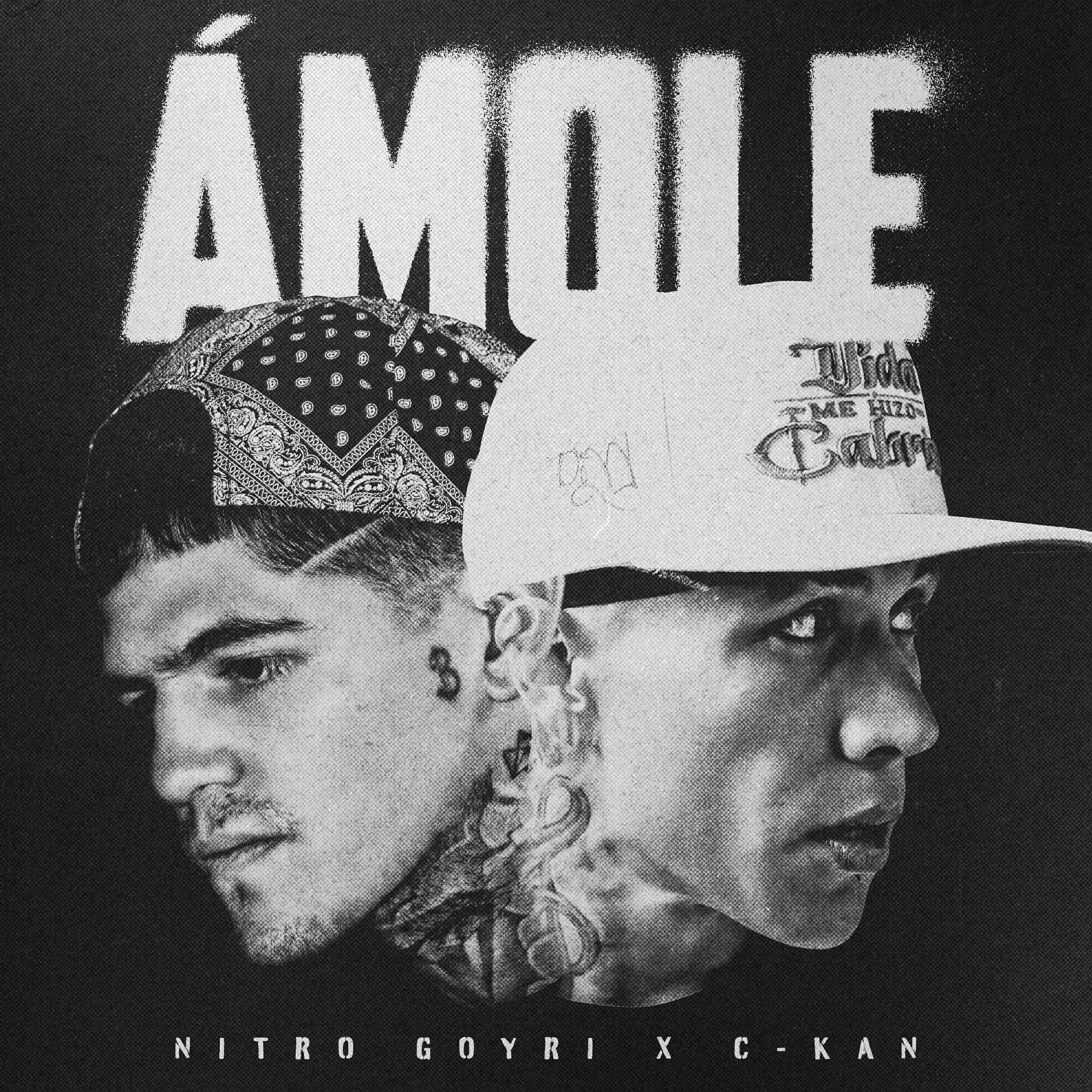 Релиз Amole