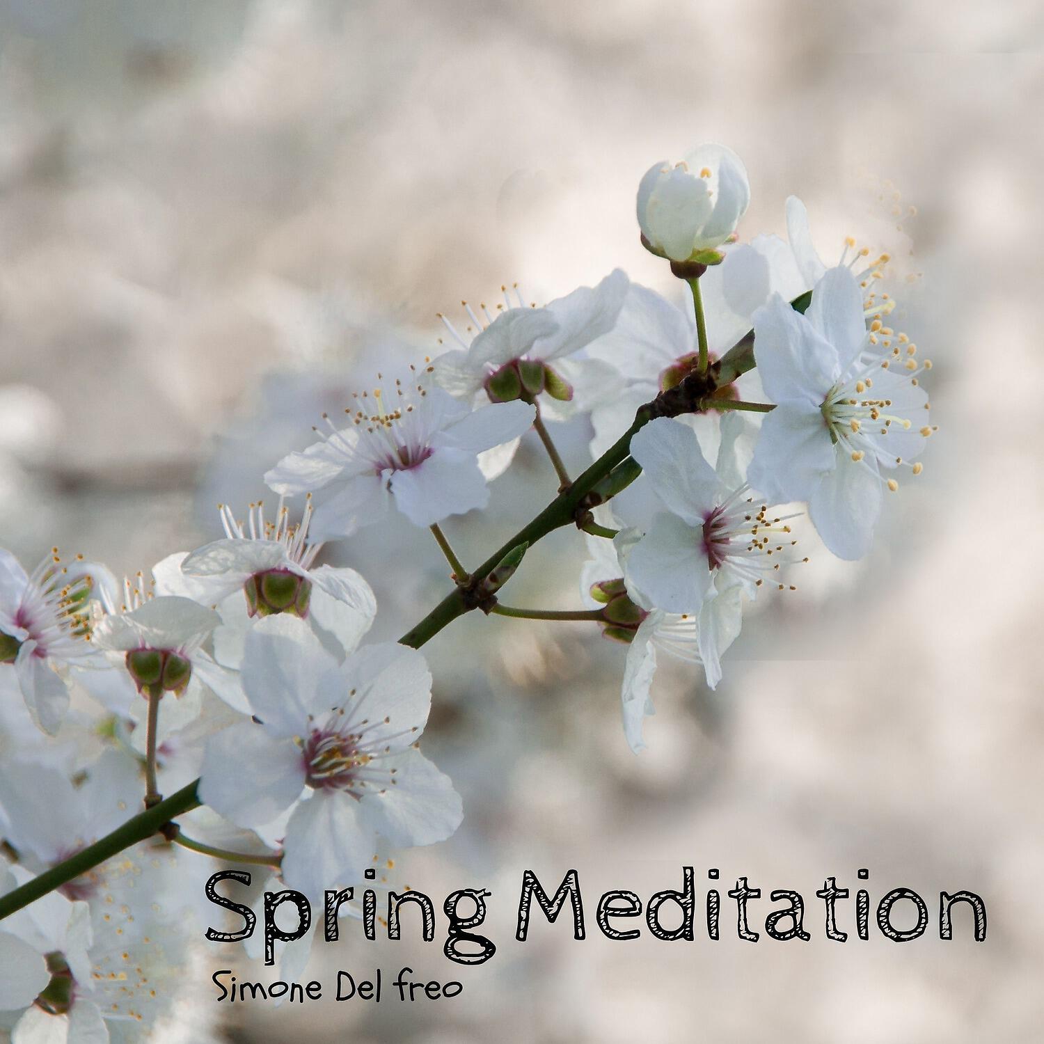 Релиз Spring Meditation
