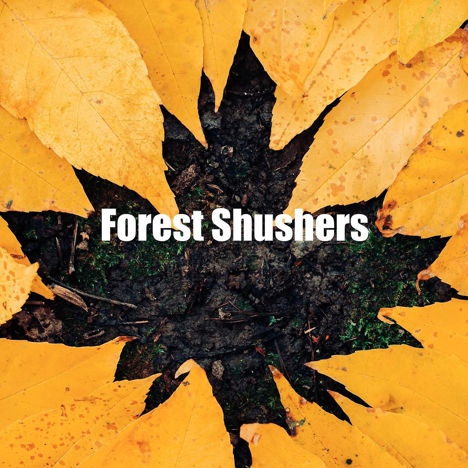 Релиз Forest Shushers