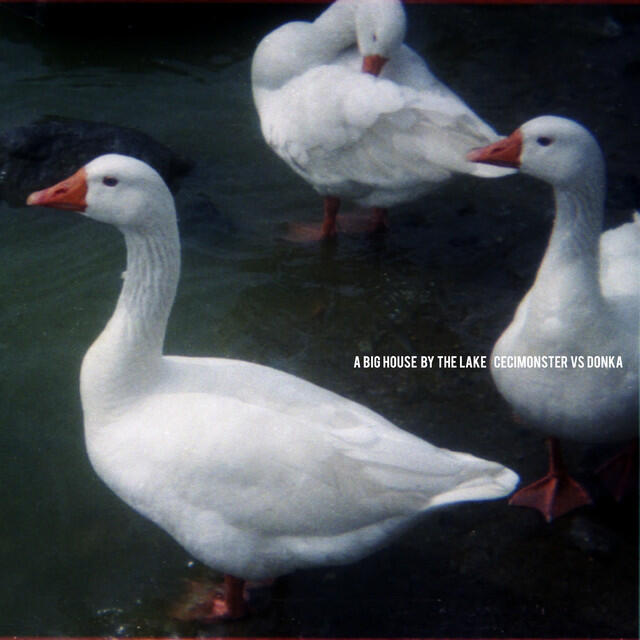 Релиз A Big House By The Lake