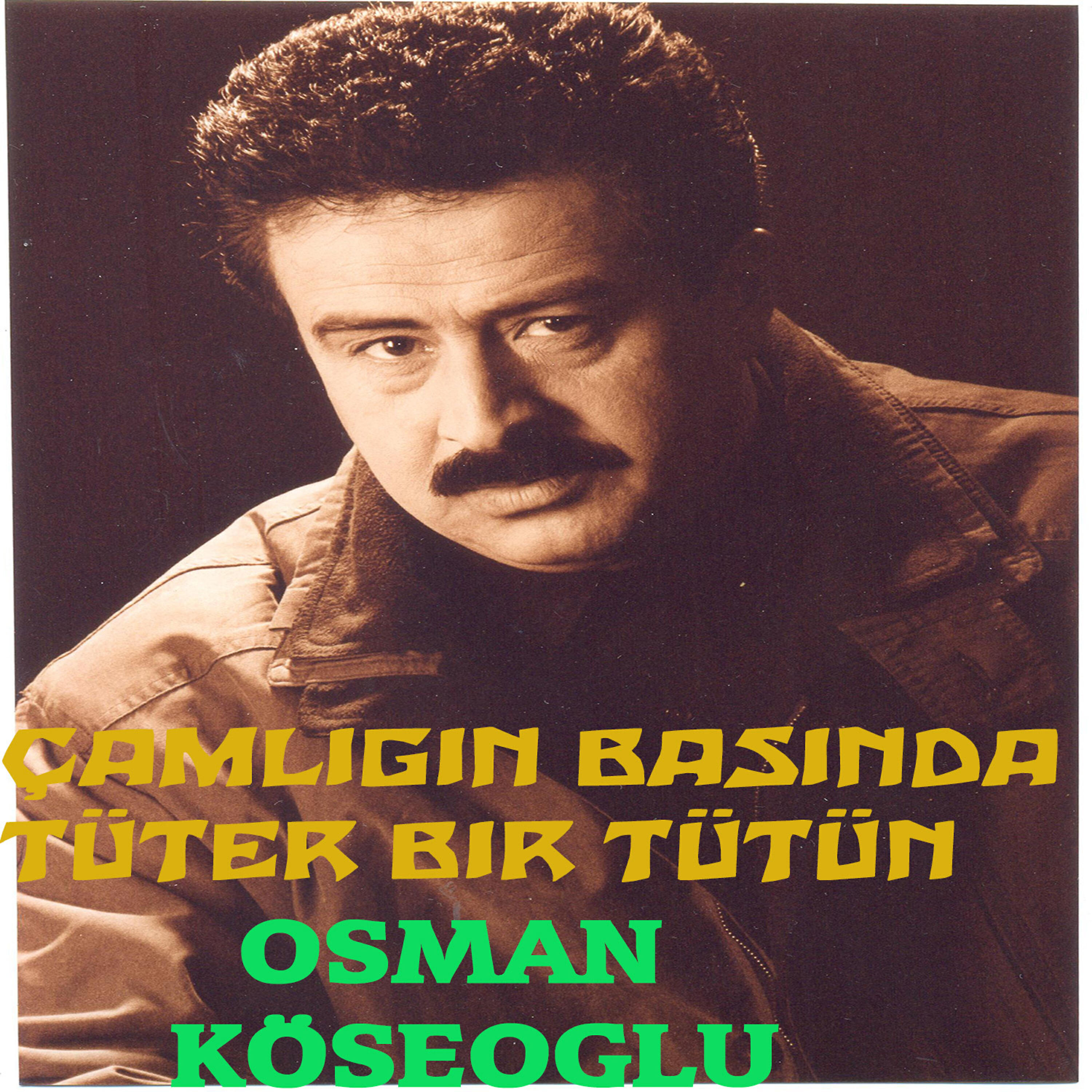 Релиз Çamlığın Başında Tüter Bir Tütün