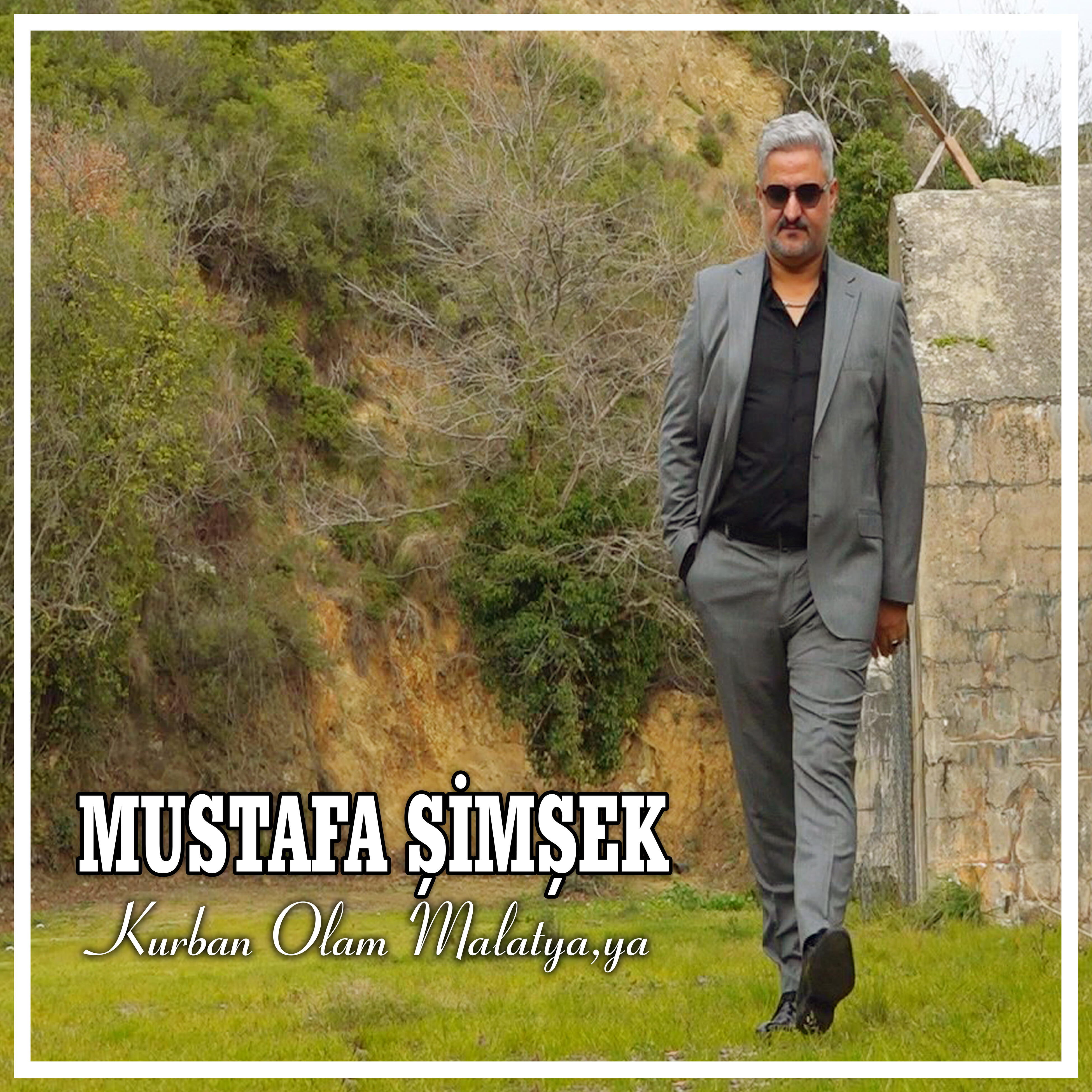 Mustafa Şimşek