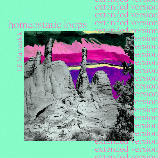Релиз Homeostatic Loops (Extended)