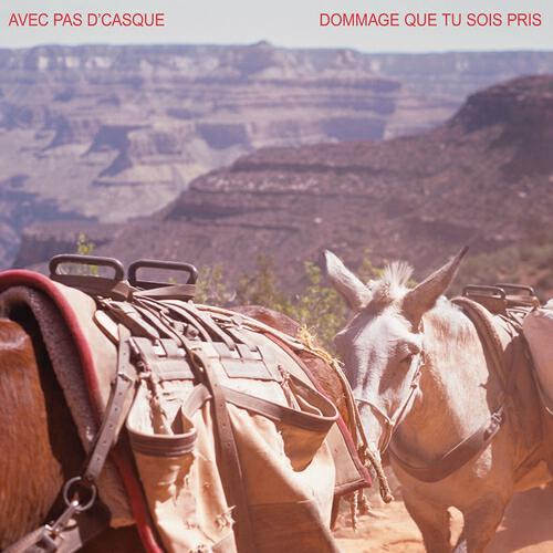 Релиз Dommage que tu sois pris