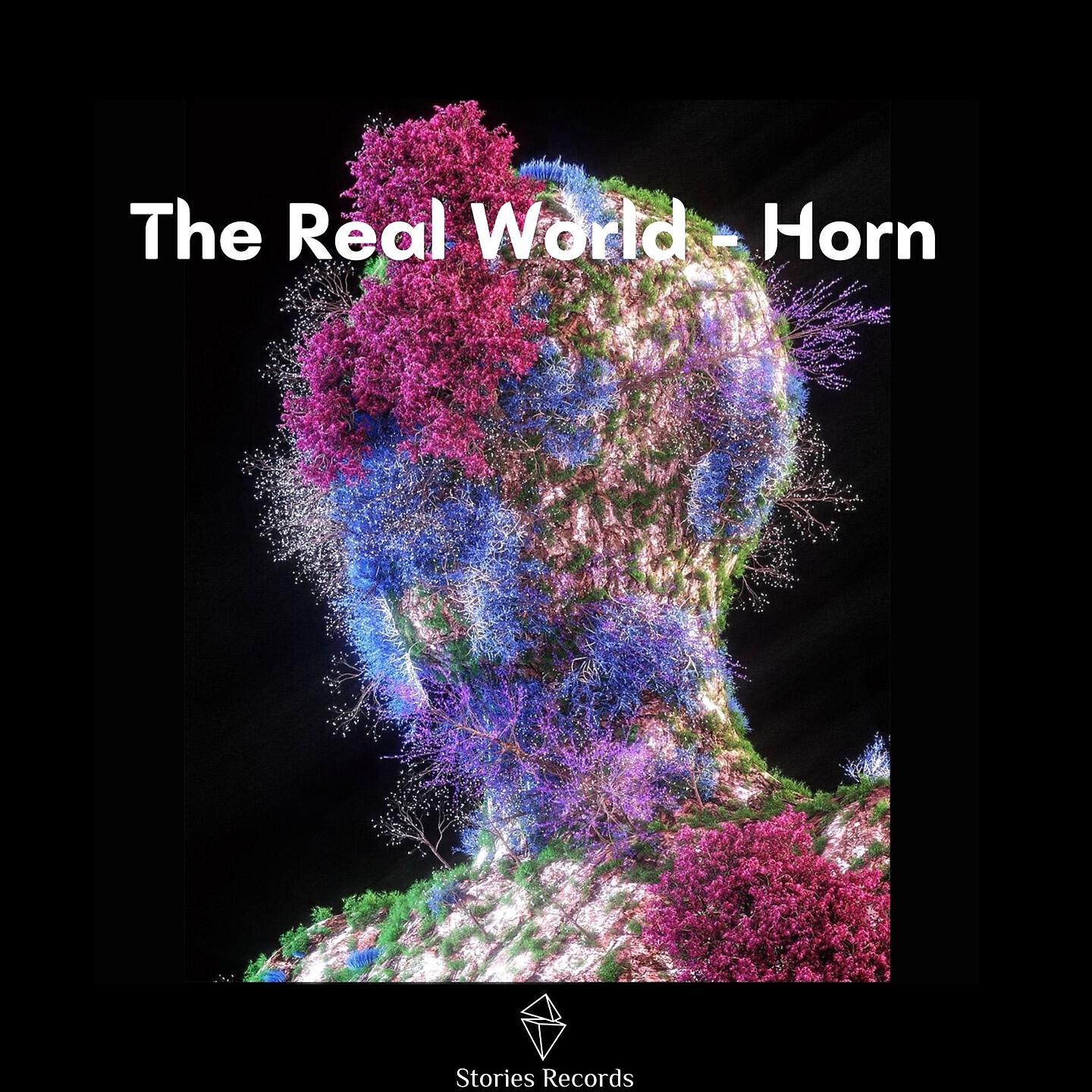 Релиз The Real World