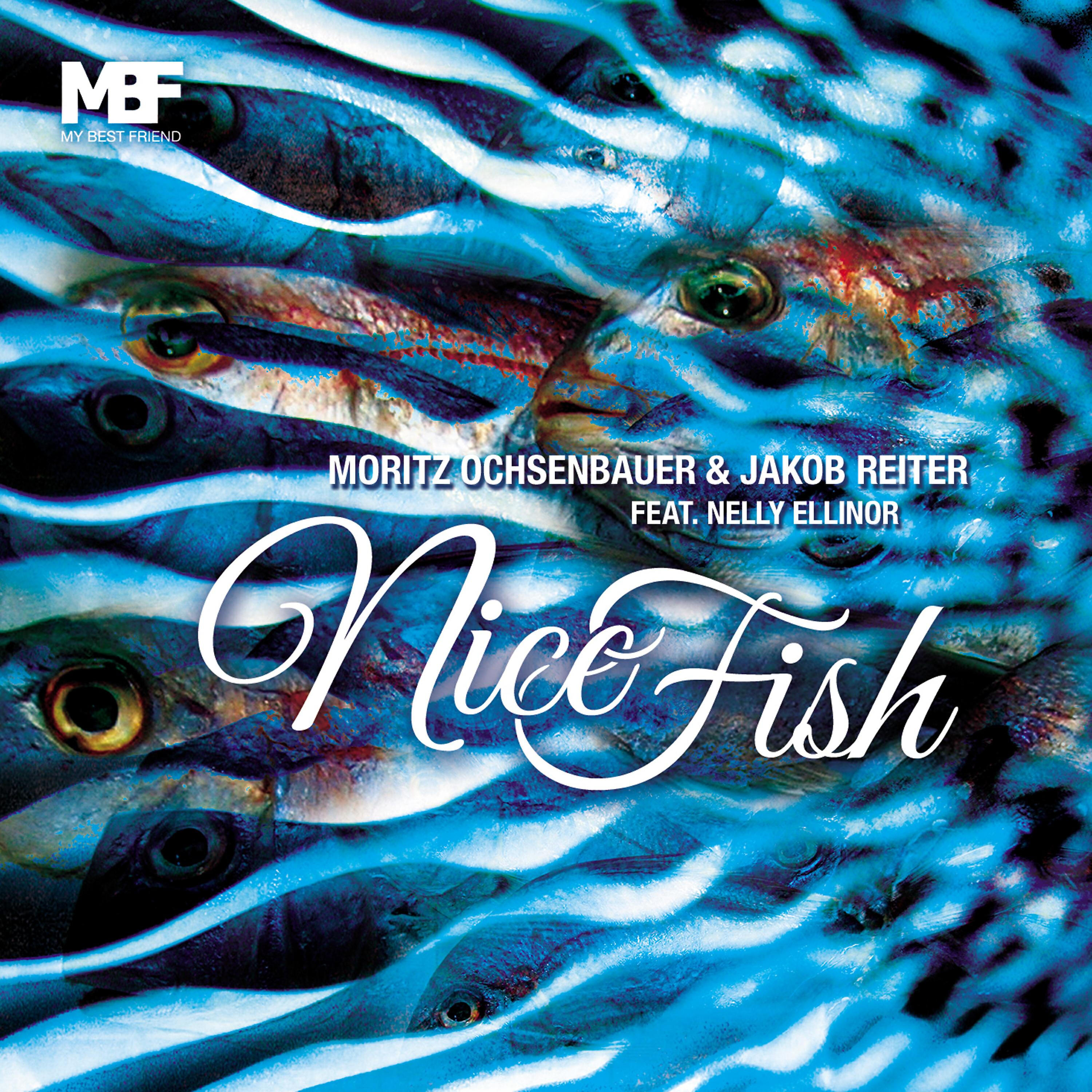 Релиз Nice Fish