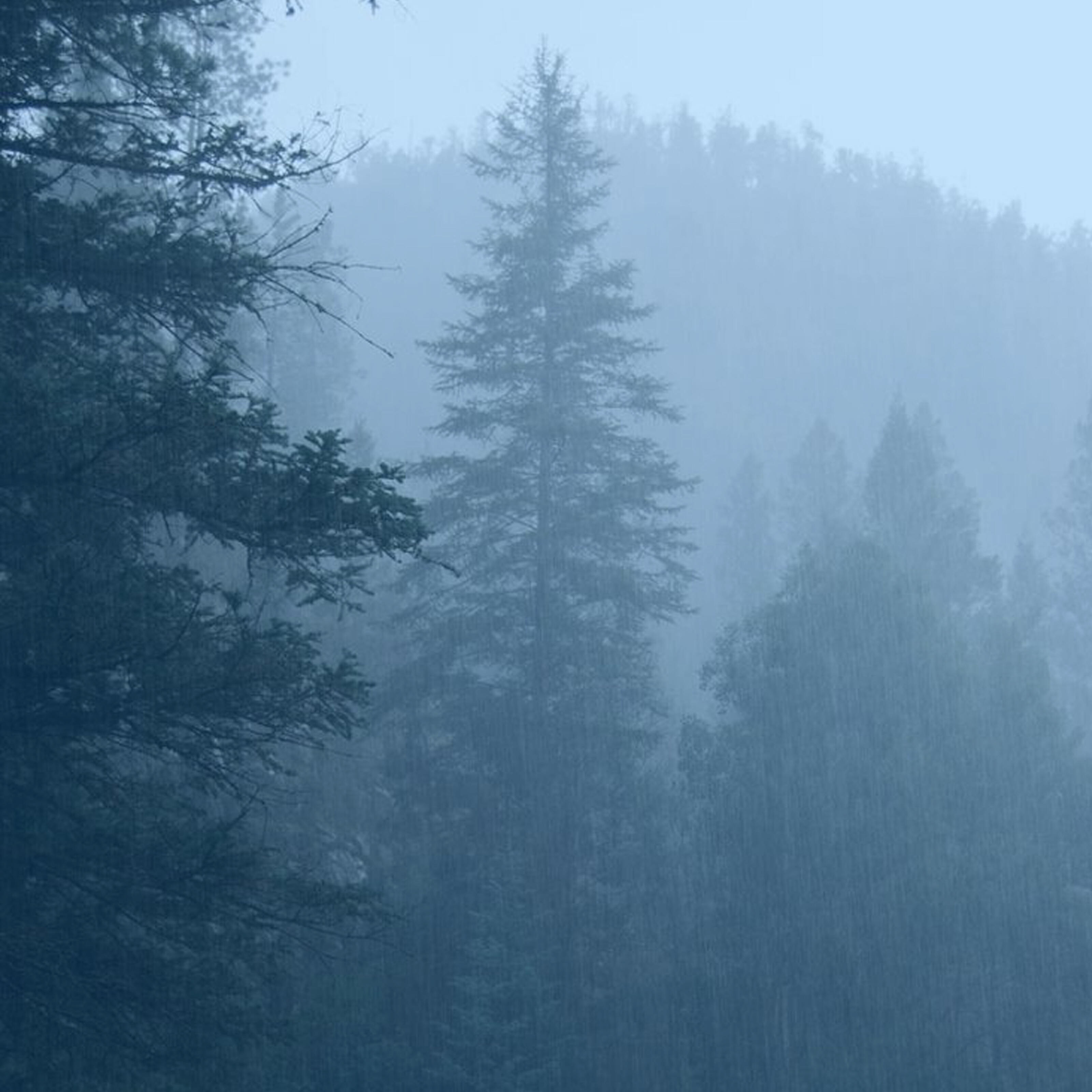 Релиз Light Rain