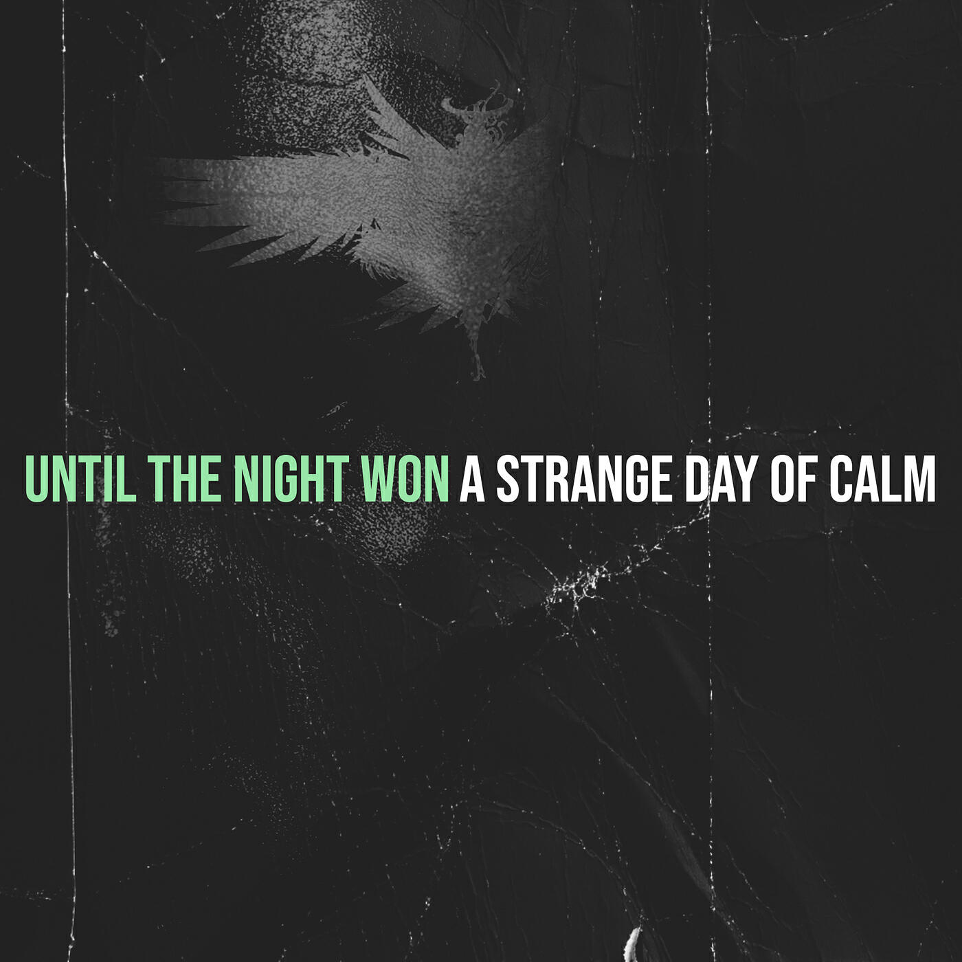 Релиз Until the Night Won