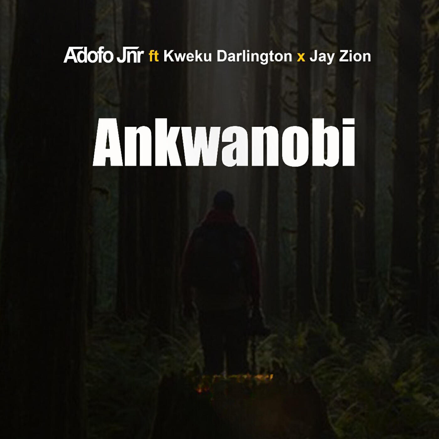 Релиз Ankwanobi