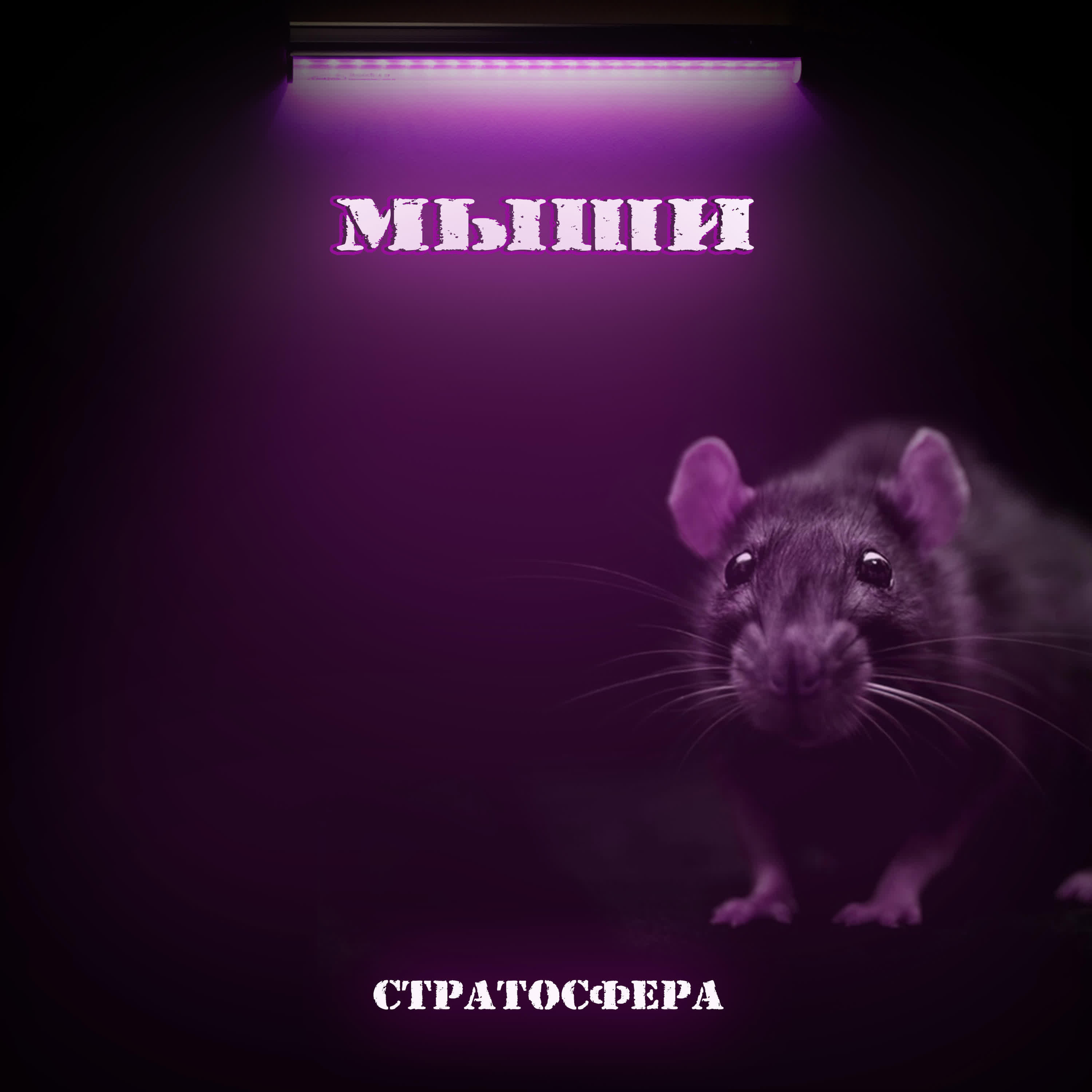 Релиз Мыши