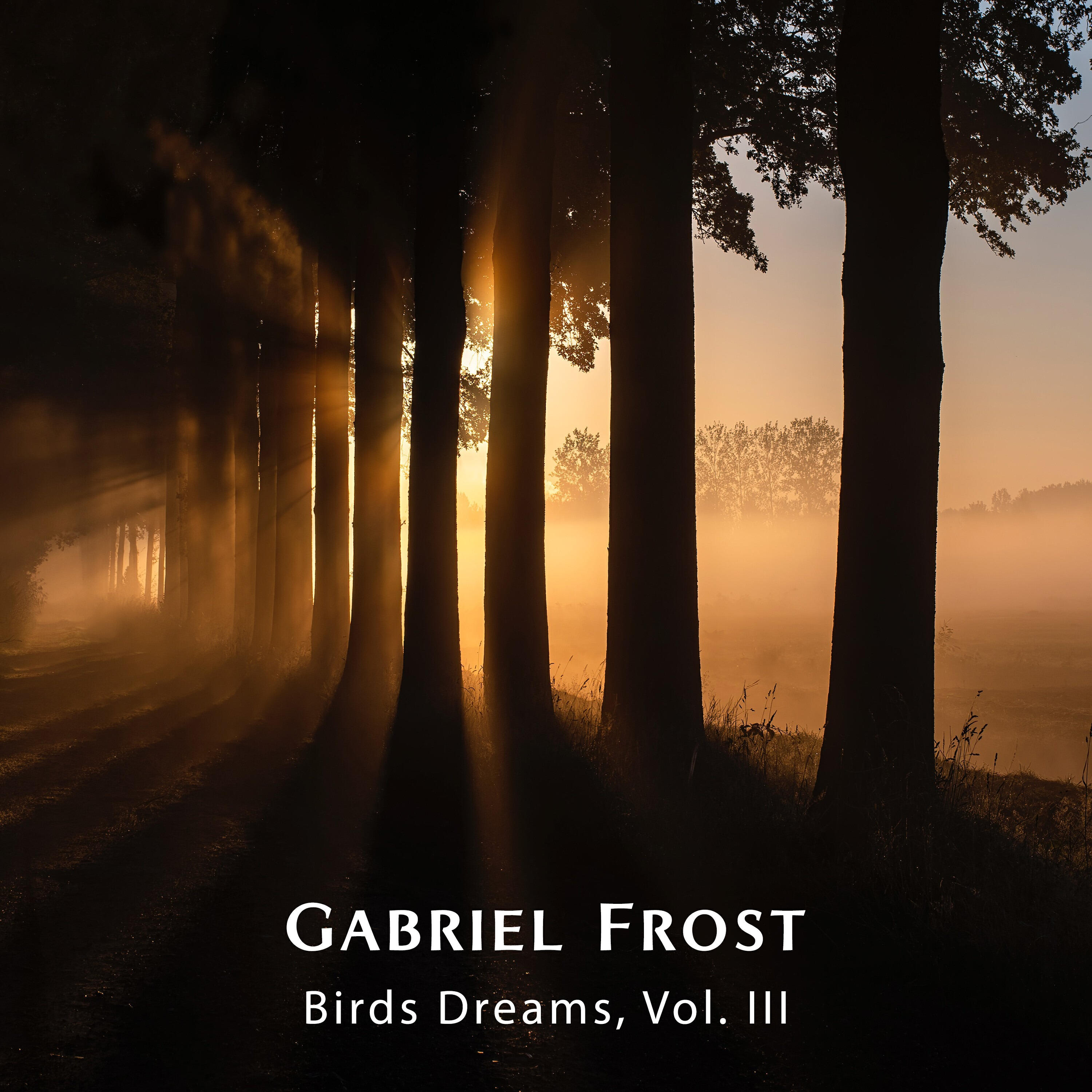 Релиз Birds Dreams, Vol. III
