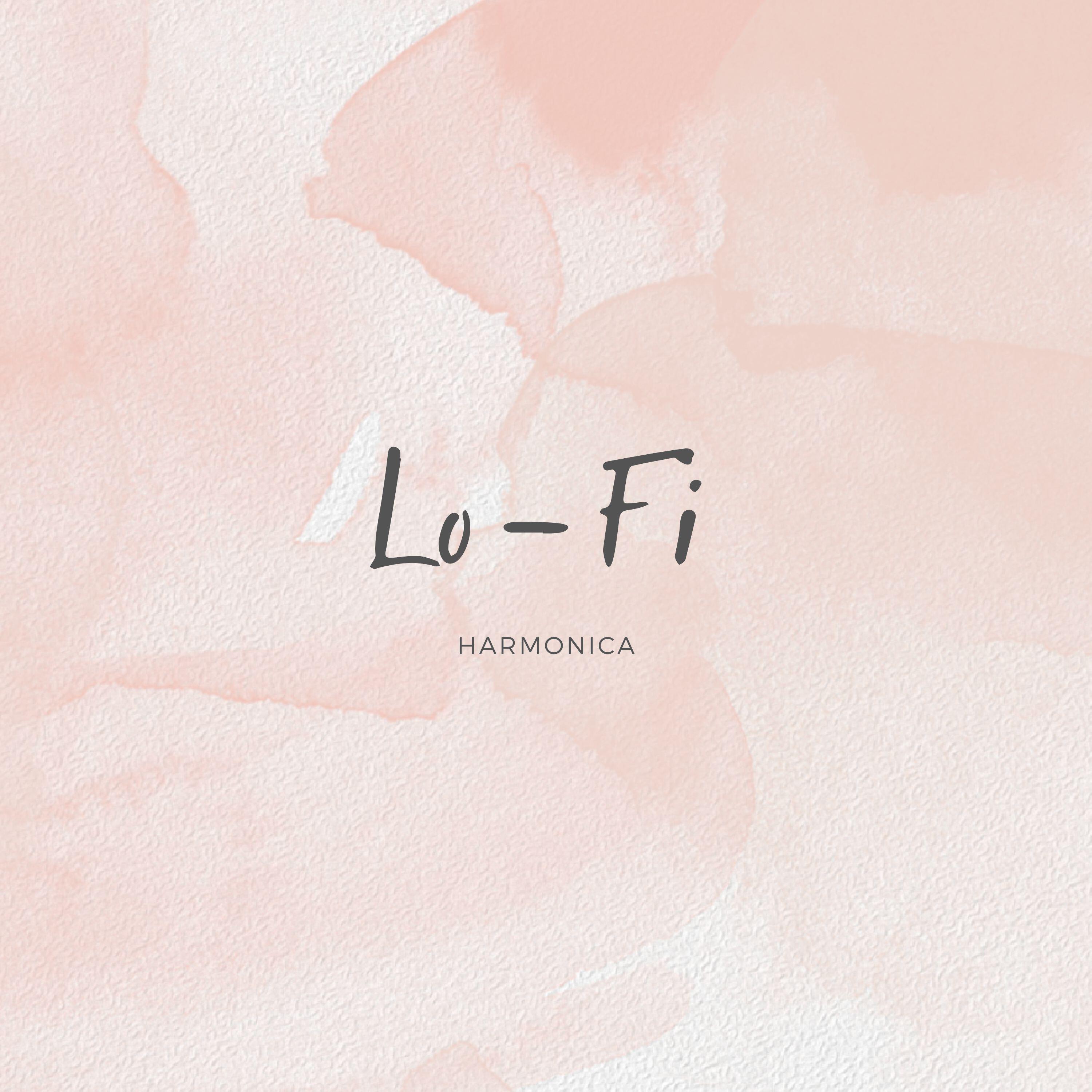 Релиз Lo - Fi