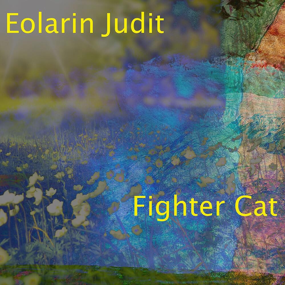 Релиз Fighter Cat