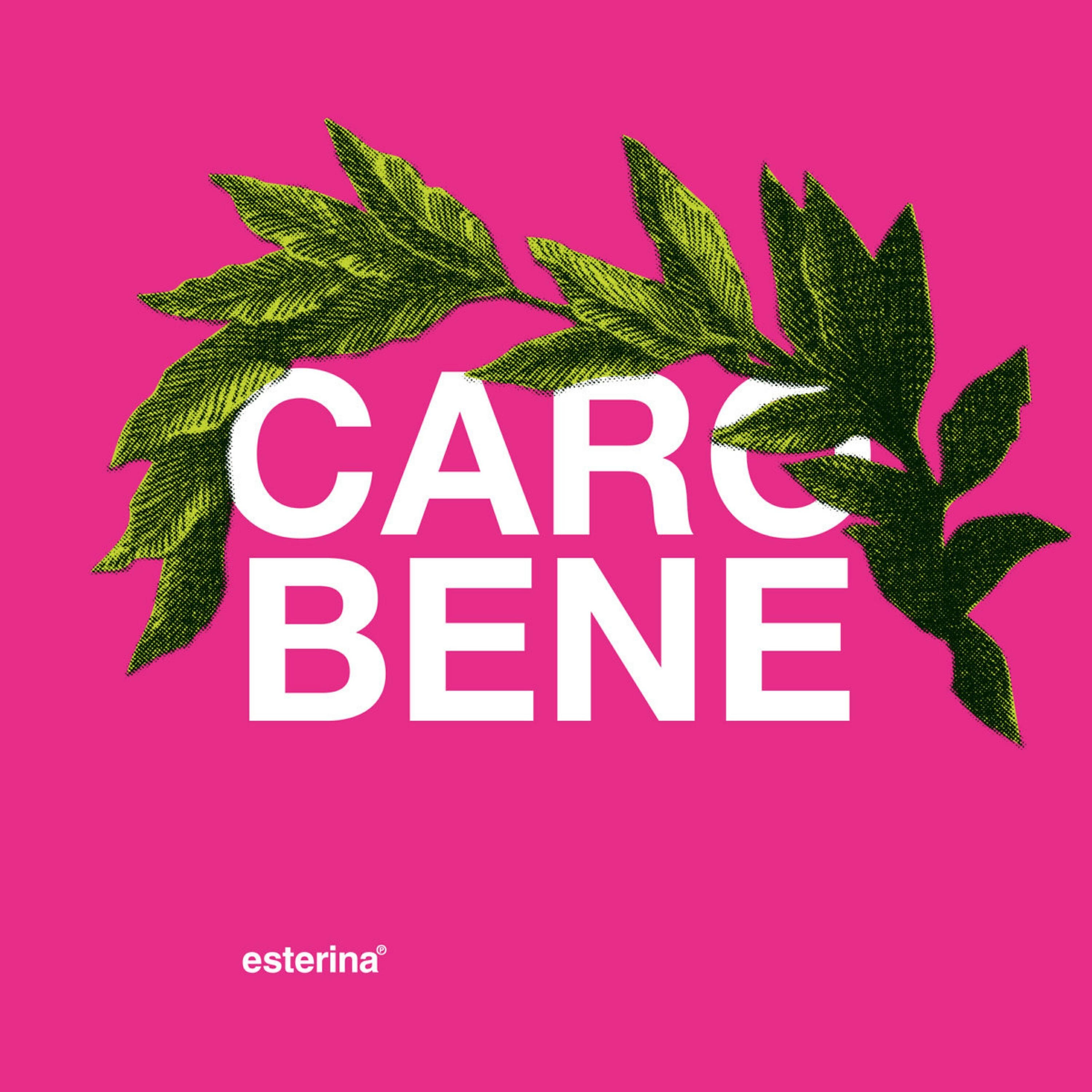 Релиз Caro Bene