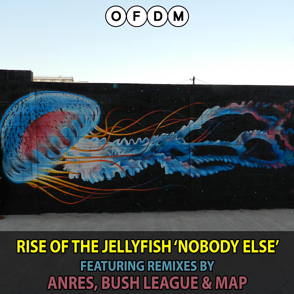 Релиз Nobody Else (MAP Remix)