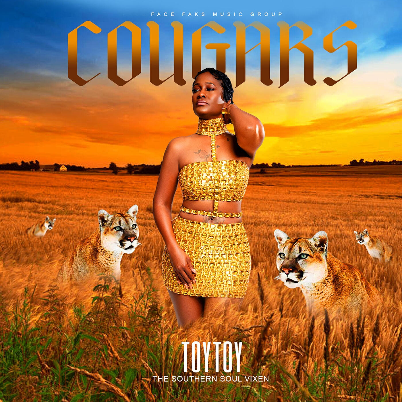 The Southern Soul Vixen ToyToy