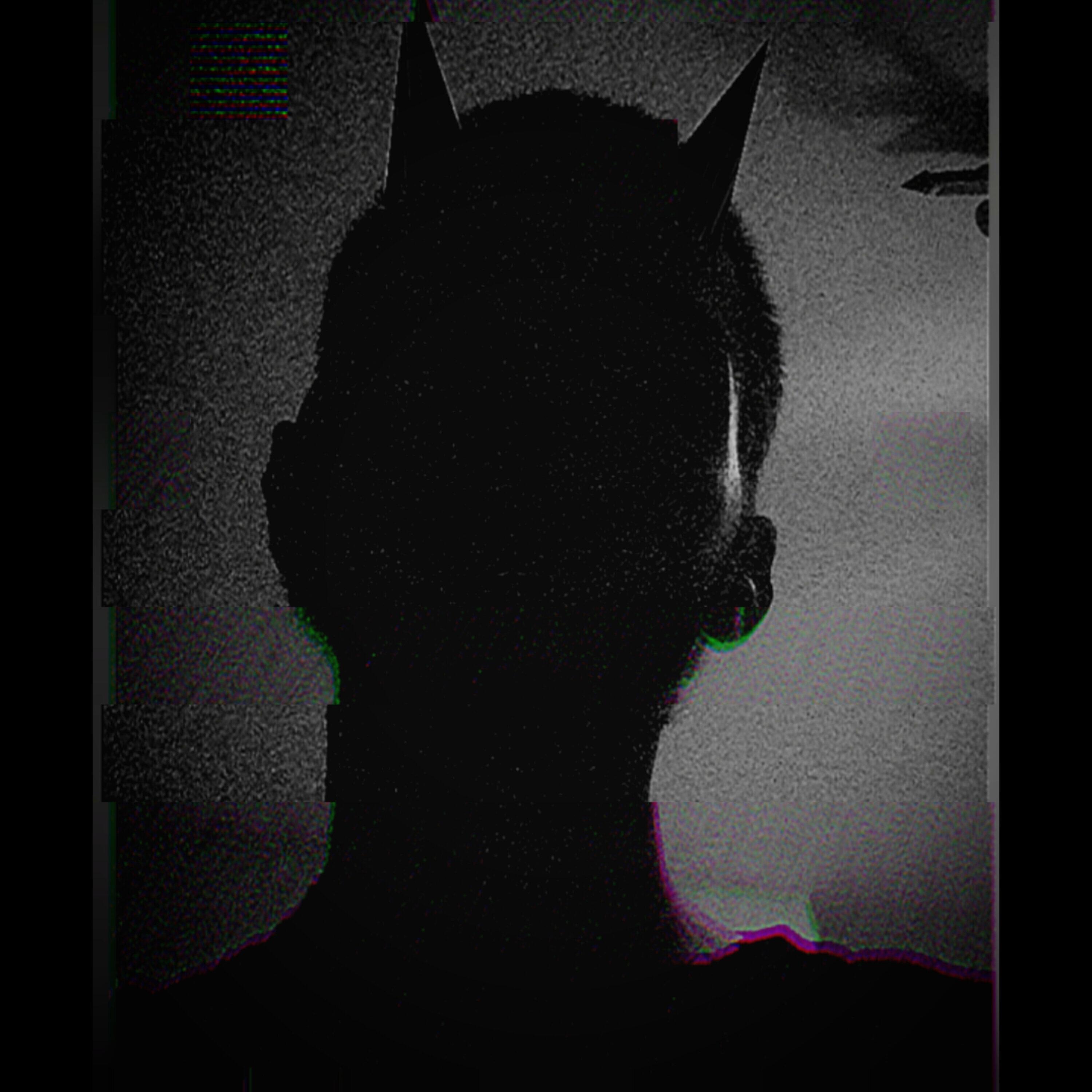 Релиз Chapter X 2 "I Need No Heaven"