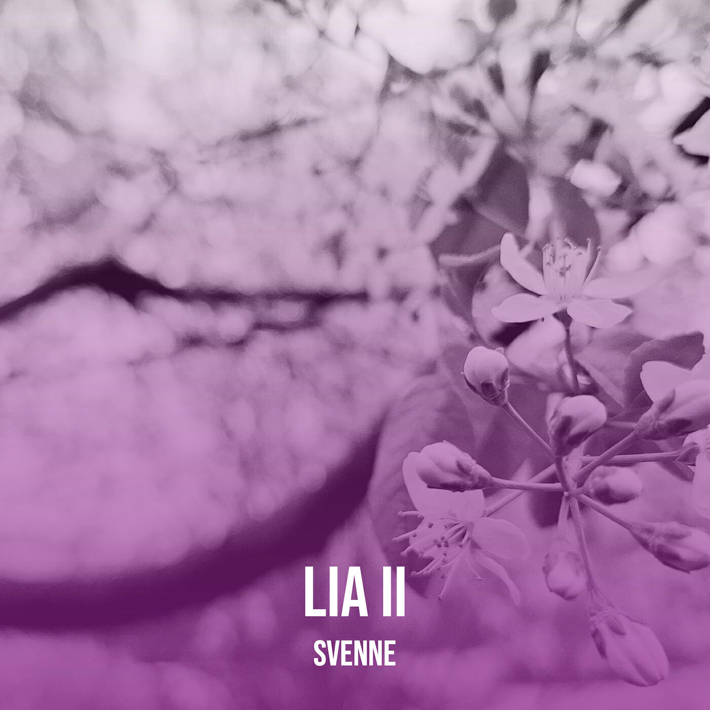 Релиз Lia II