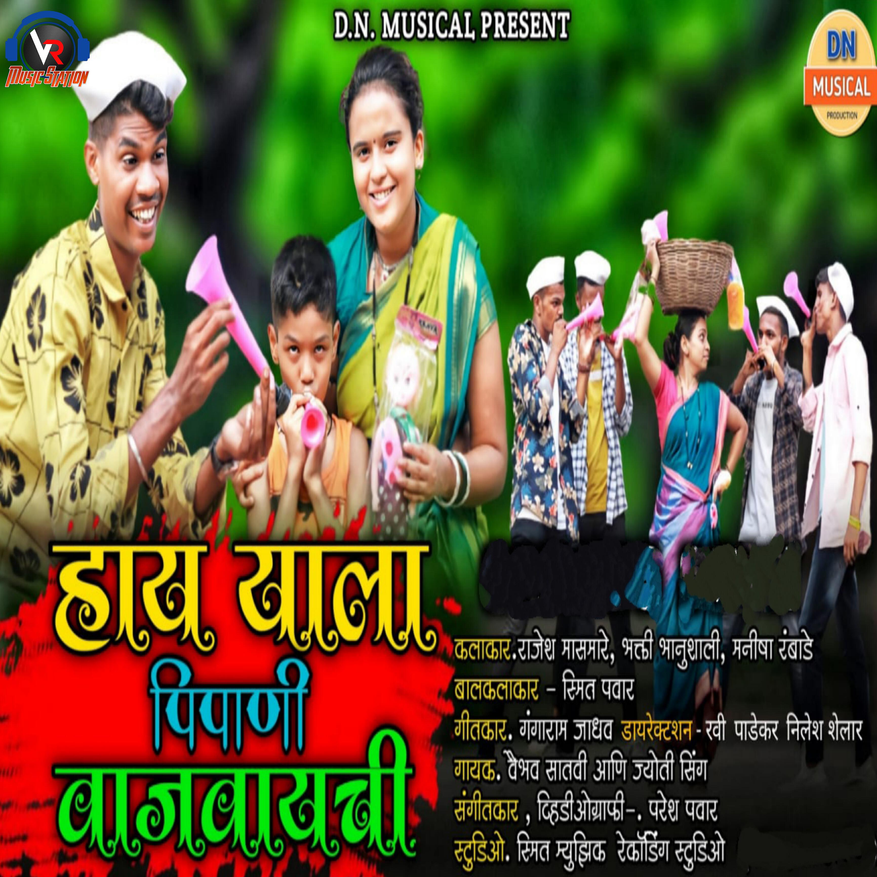 Vaibhav Satvi