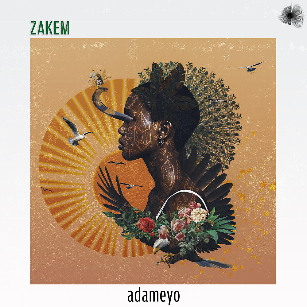 Релиз Adameyo