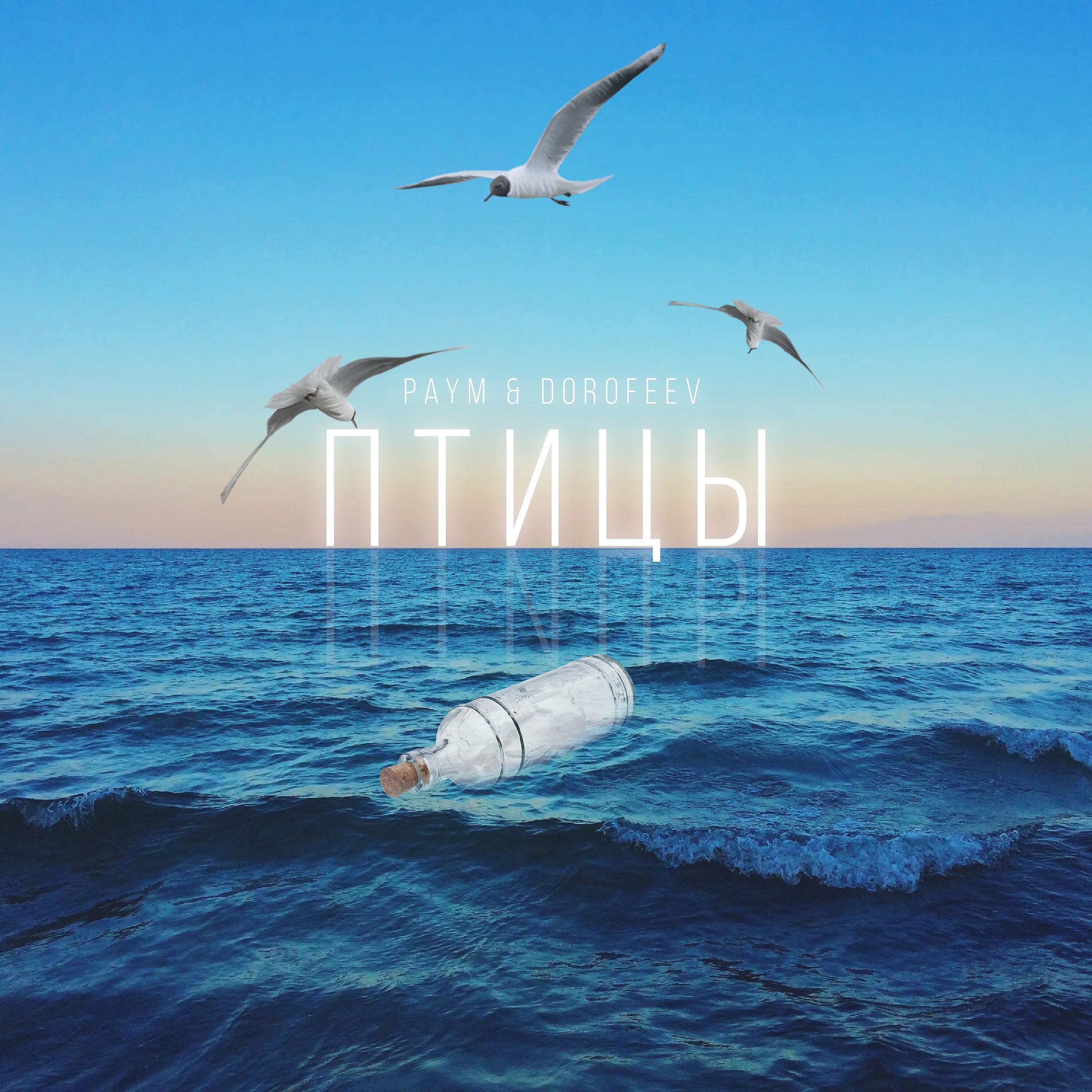 Релиз Птицы (prod. by ZIMV)